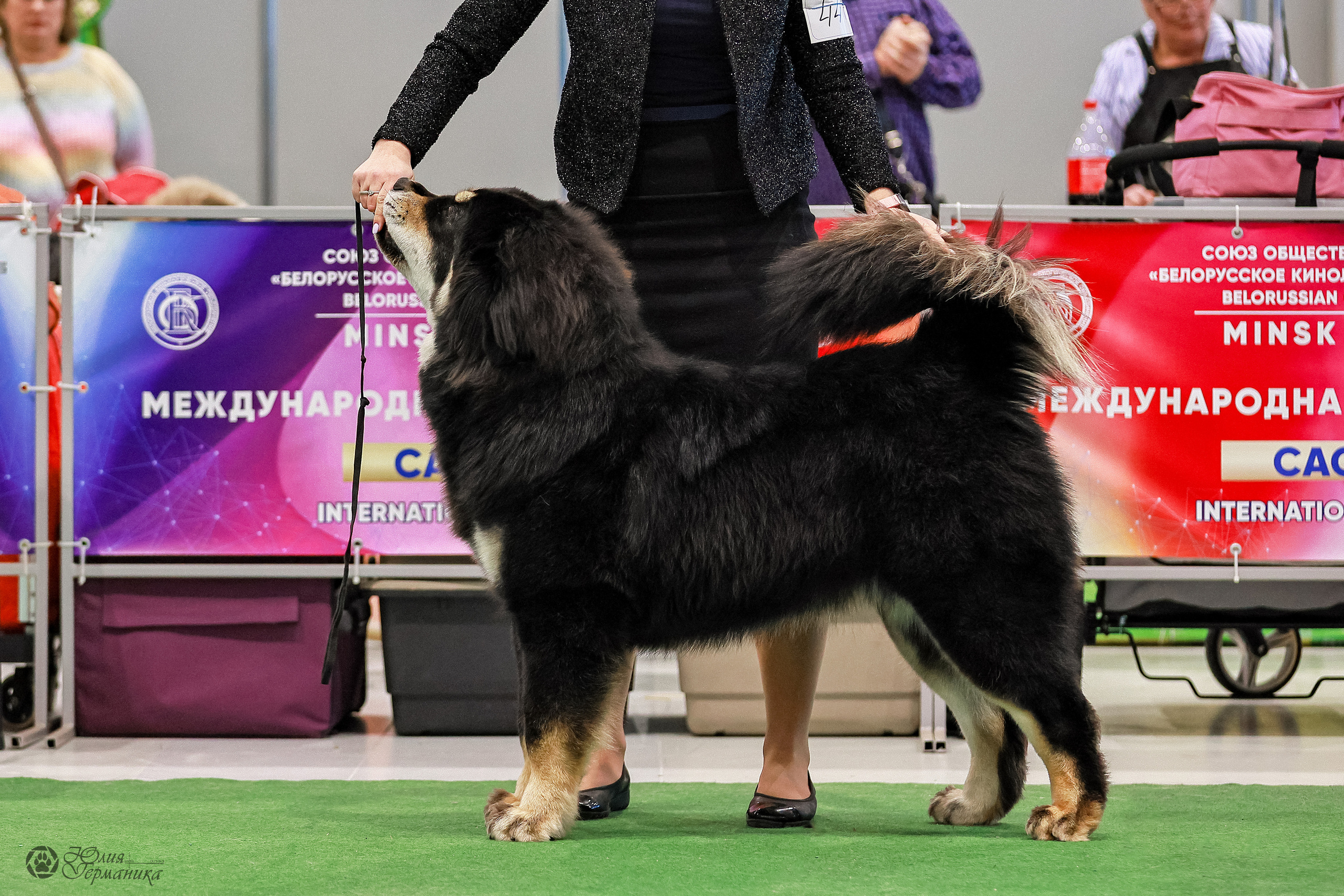Минск 19-20.11.2022. Фотограф-анималист Юлия Германика