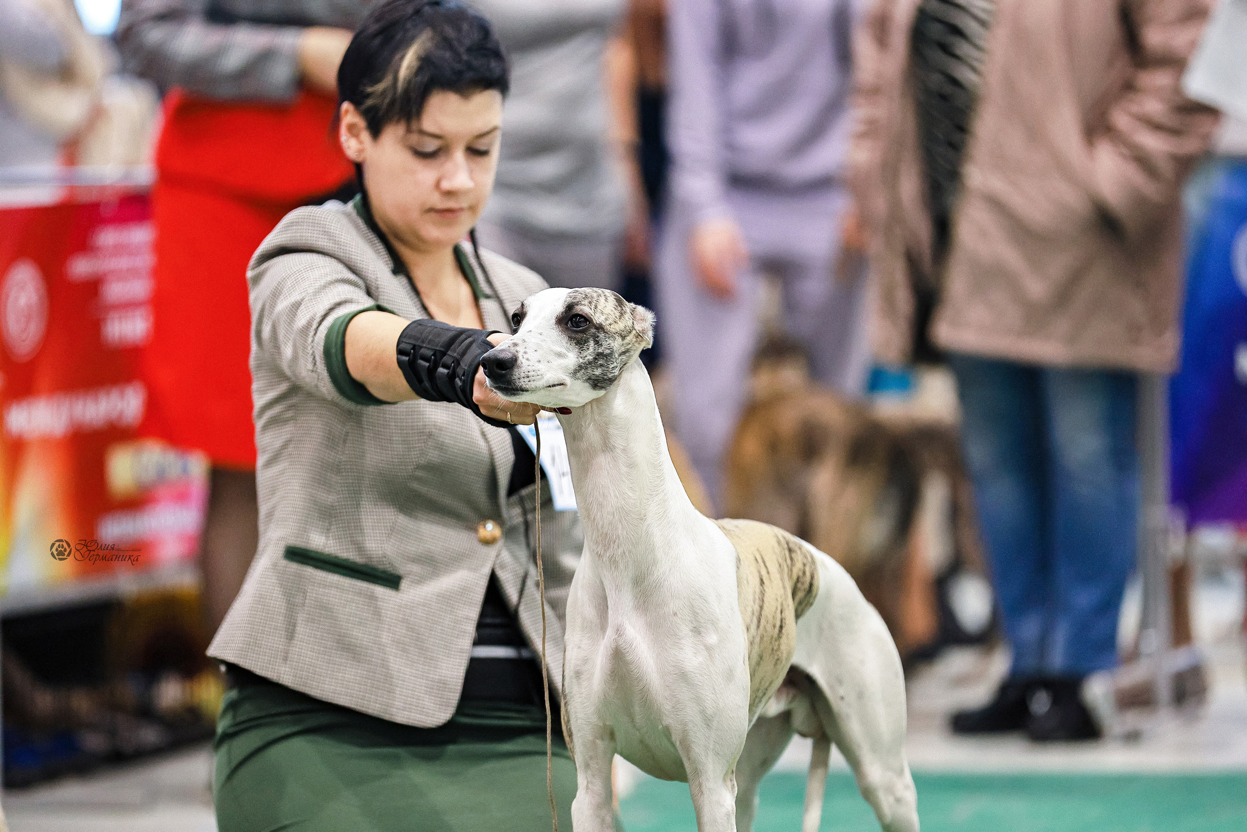 Минск 19-20.11.2022. Фотограф-анималист Юлия Германика