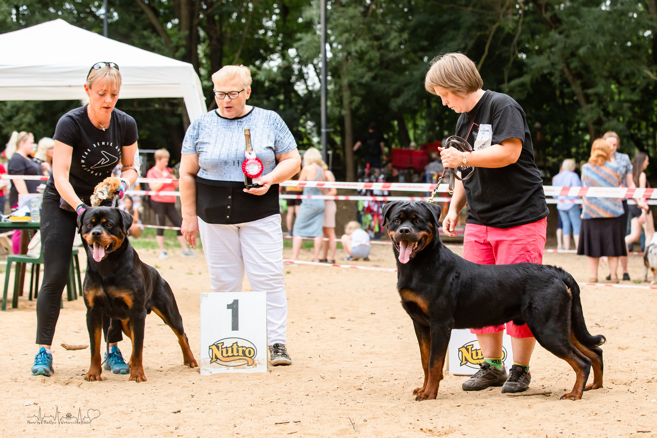 Ховрино фестиваль монопородок 14.08.2022. Фотограф-анималист Юлия Германика