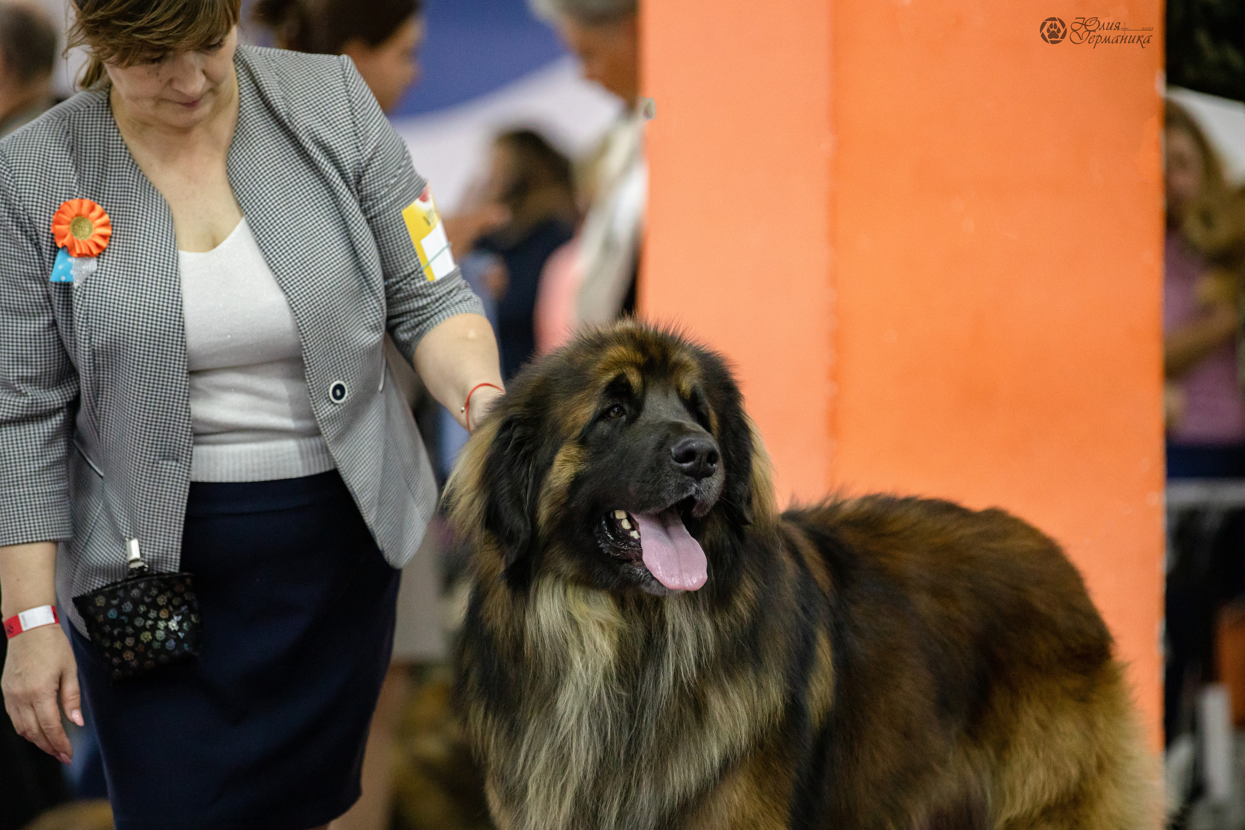 Чайна-Таун 29-30.10.2022. Фотограф-анималист Юлия Германика