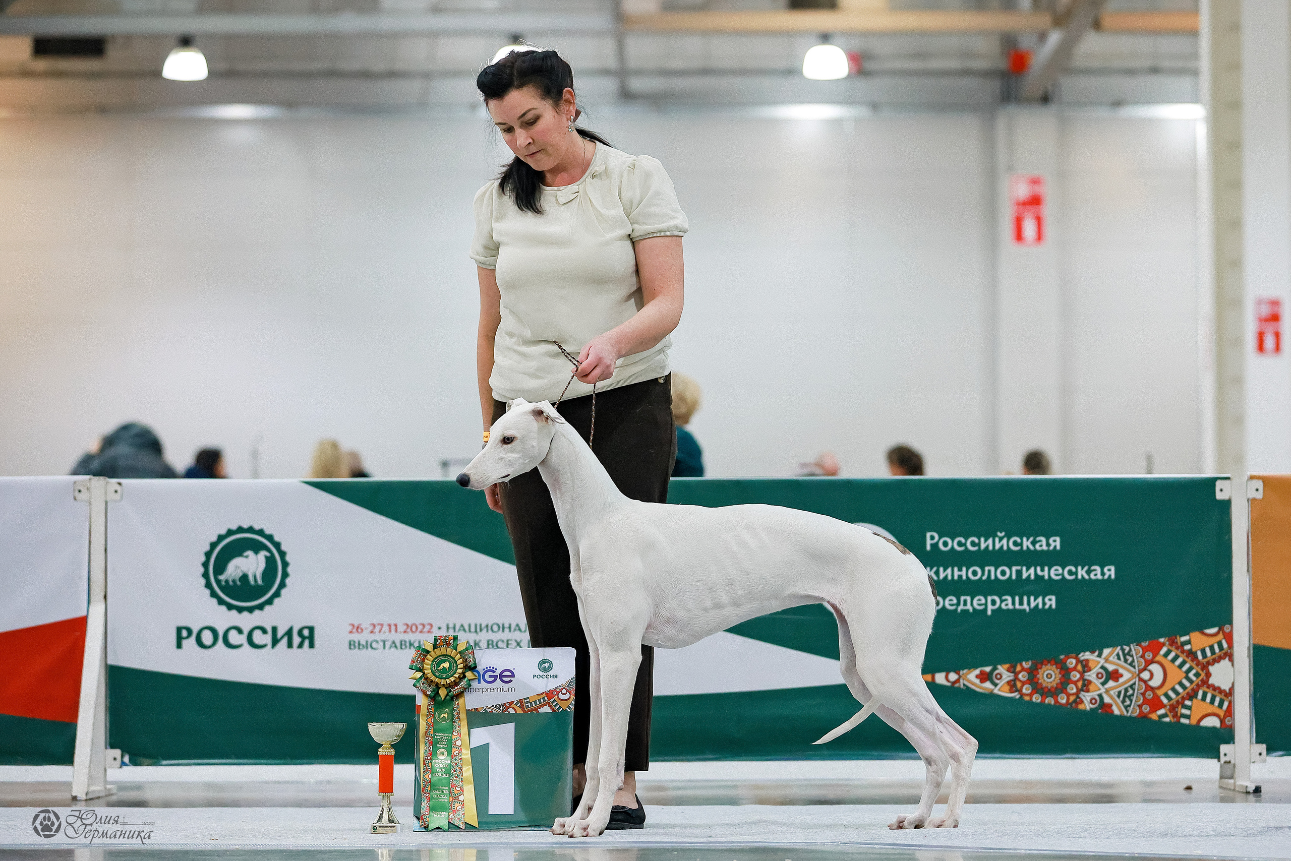 Россия 2020-2022 26-27.11.2022. Фотограф-анималист Юлия Германика