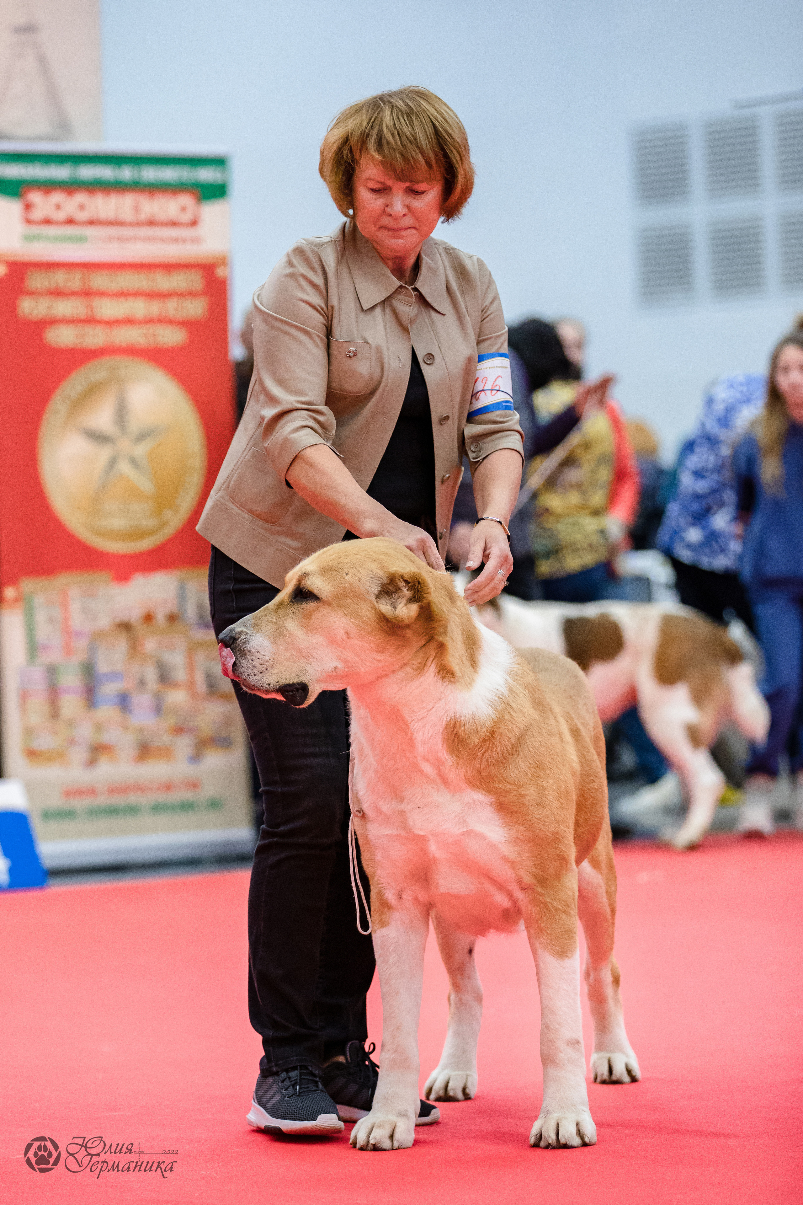Нижний Новгород 15-16.10.2022. Фотограф-анималист Юлия Германика