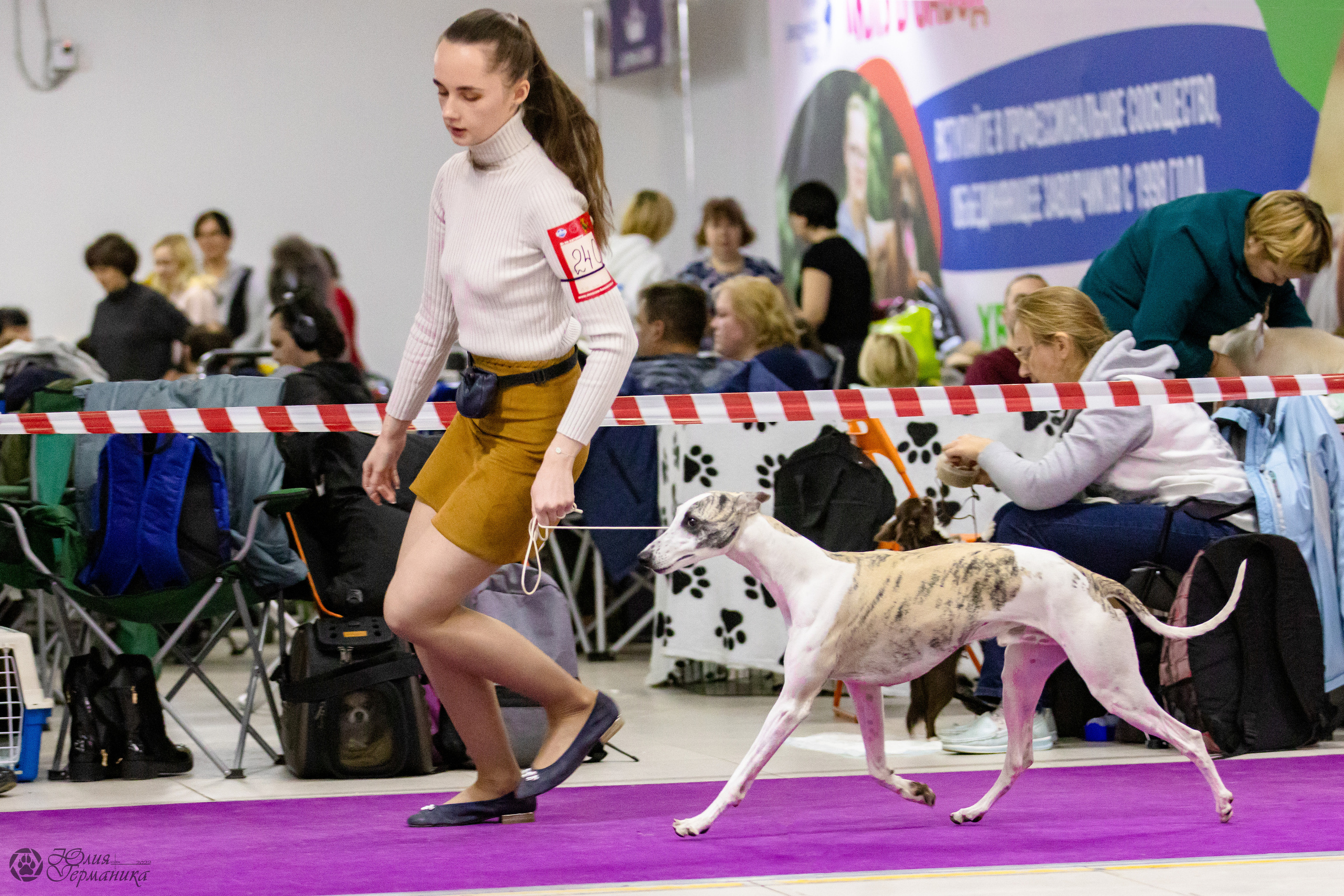 Чайна-Таун 3 и 12.11.2022. Фотограф-анималист Юлия Германика