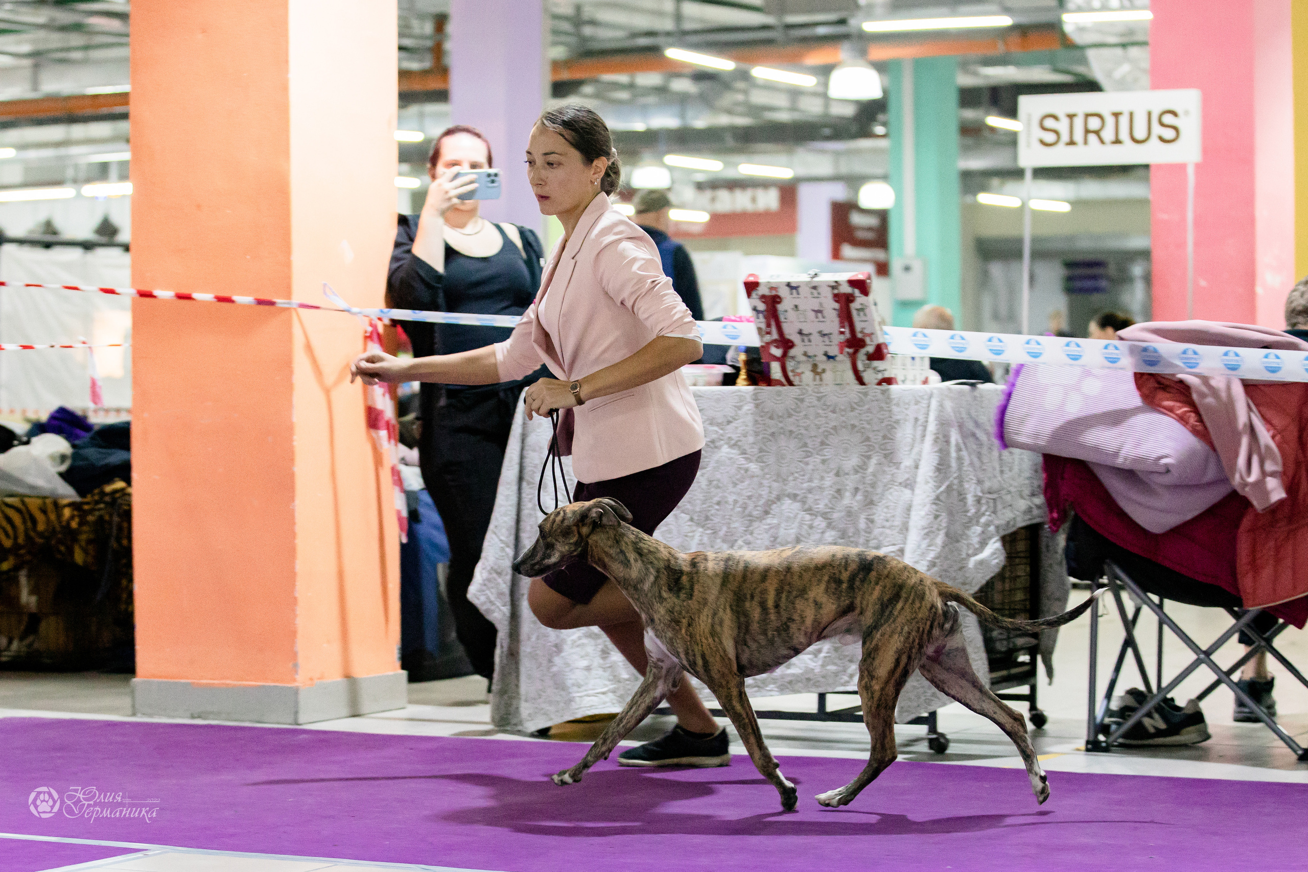 Чайна-Таун 29-30.10.2022. Фотограф-анималист Юлия Германика