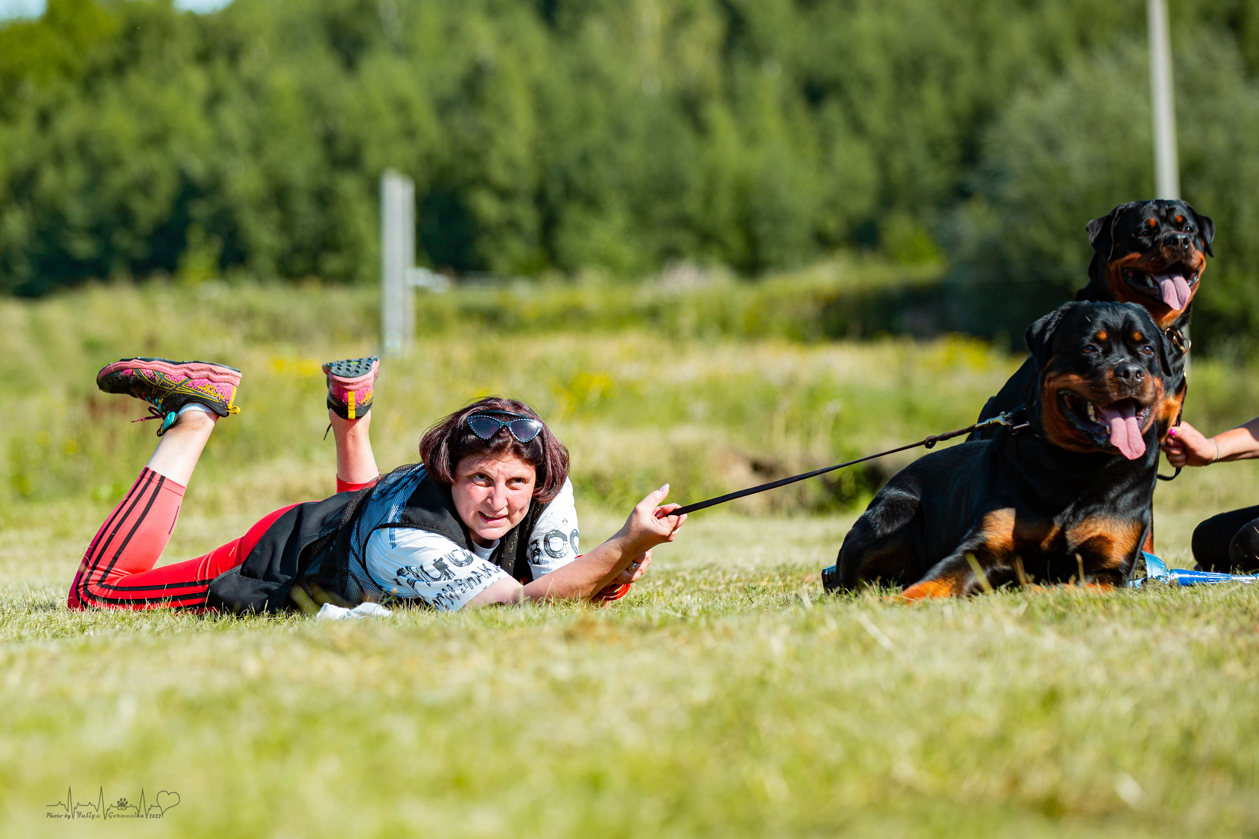 Рязань моно ротвейлеров 13.08.2022. Фотограф-анималист Юлия Германика