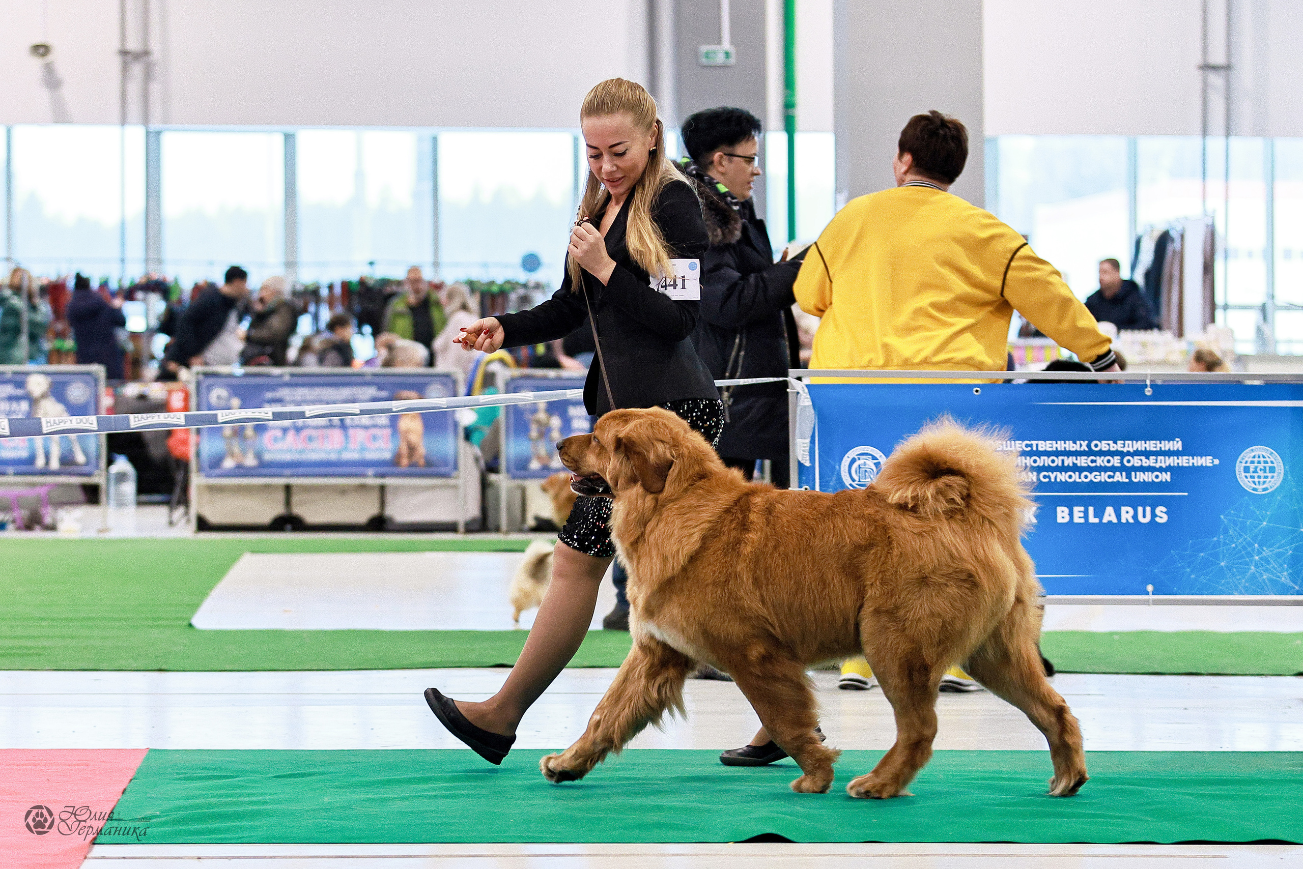 Минск 19-20.11.2022. Фотограф-анималист Юлия Германика