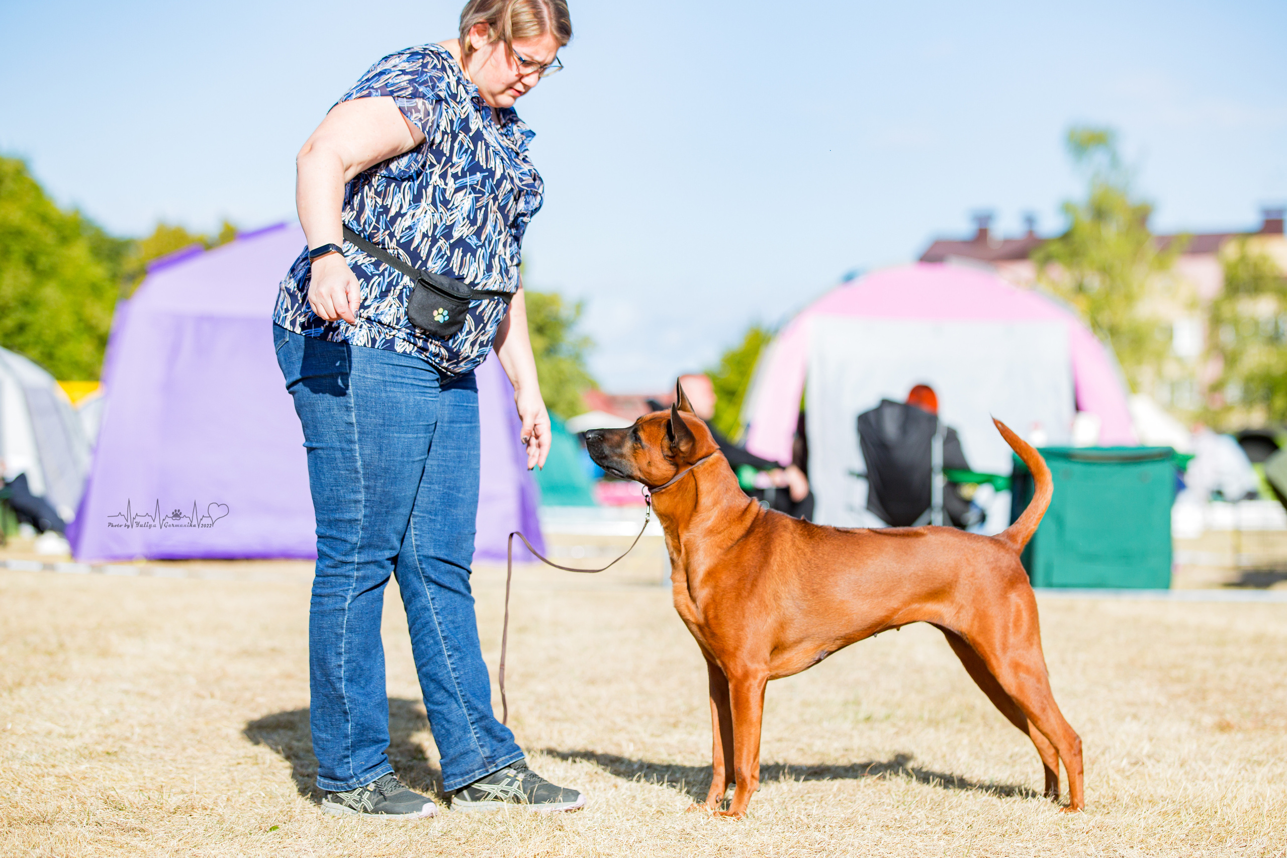 Минск 2хCACIB 3-4.09.2022. Фотограф-анималист Юлия Германика