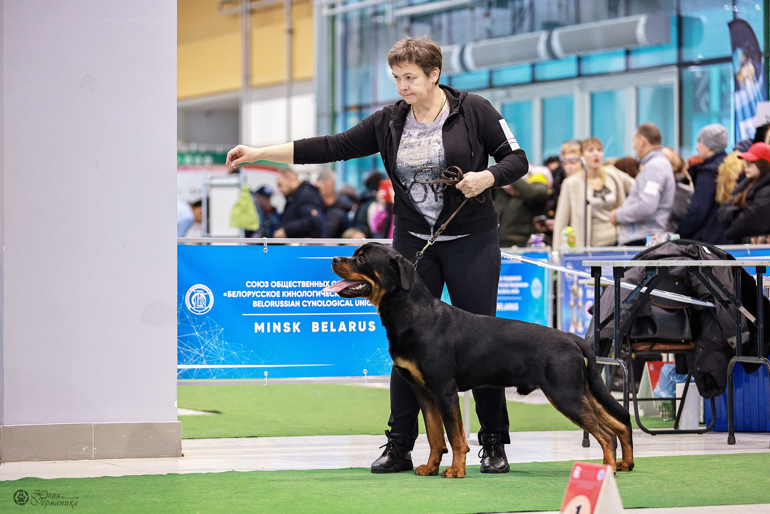 Минск 19-20.11.2022. Фотограф-анималист Юлия Германика