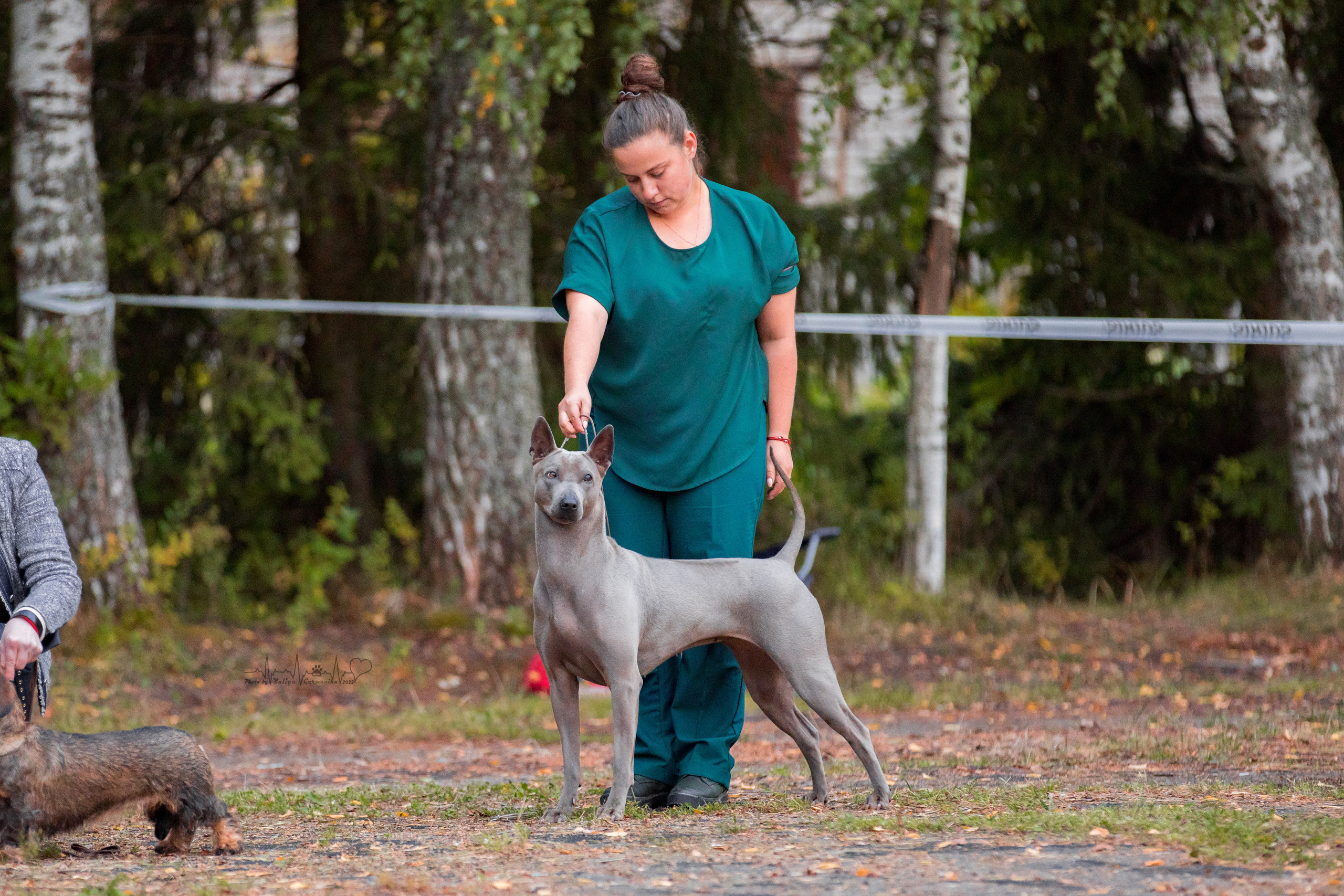 Тверь ЧРКФ 18.09.2022. Фотограф-анималист Юлия Германика
