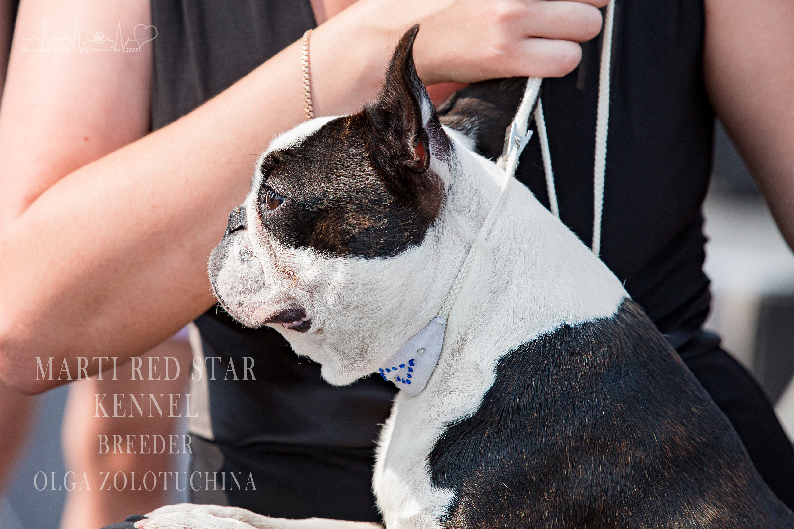 Сокольники 21.08,Сергиев Посад 27-28.08 2022. Фотограф-анималист Юлия Германика