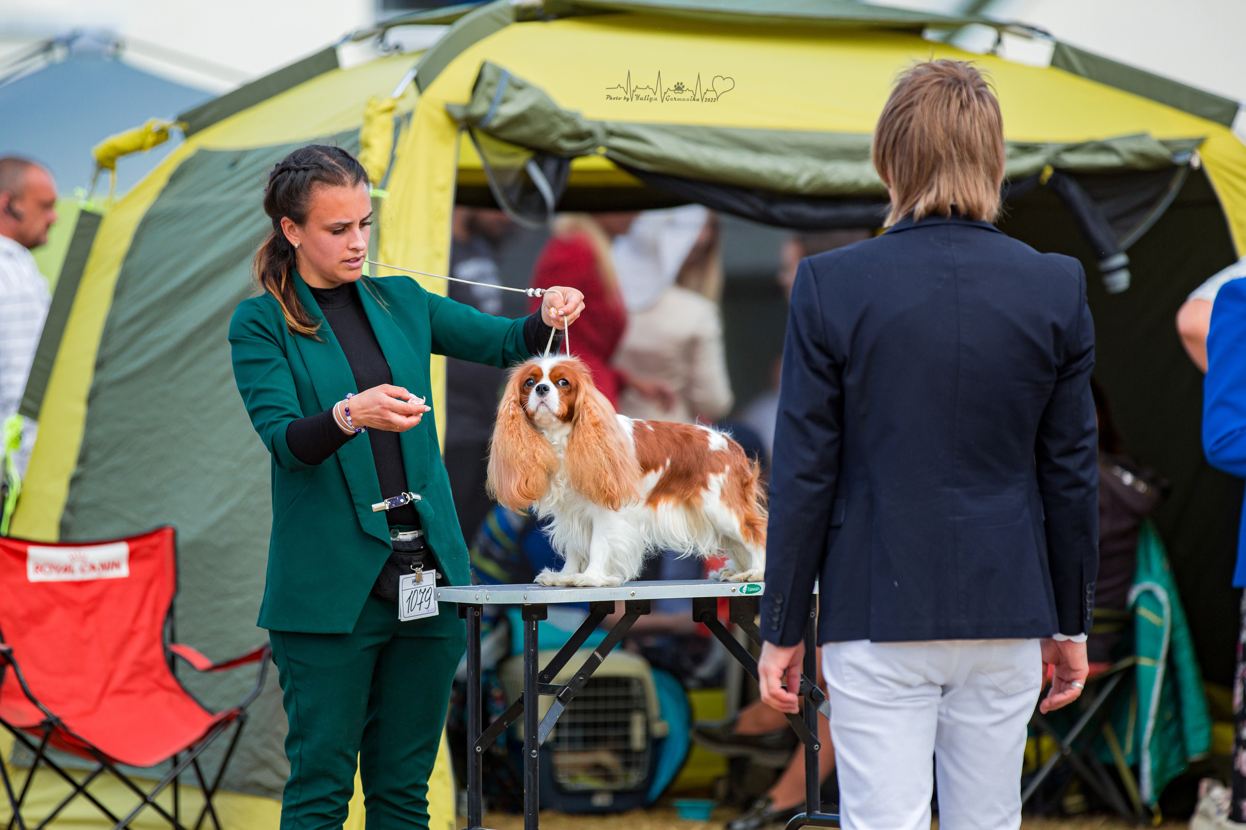 Минск 2хCACIB 3-4.09.2022. Фотограф-анималист Юлия Германика