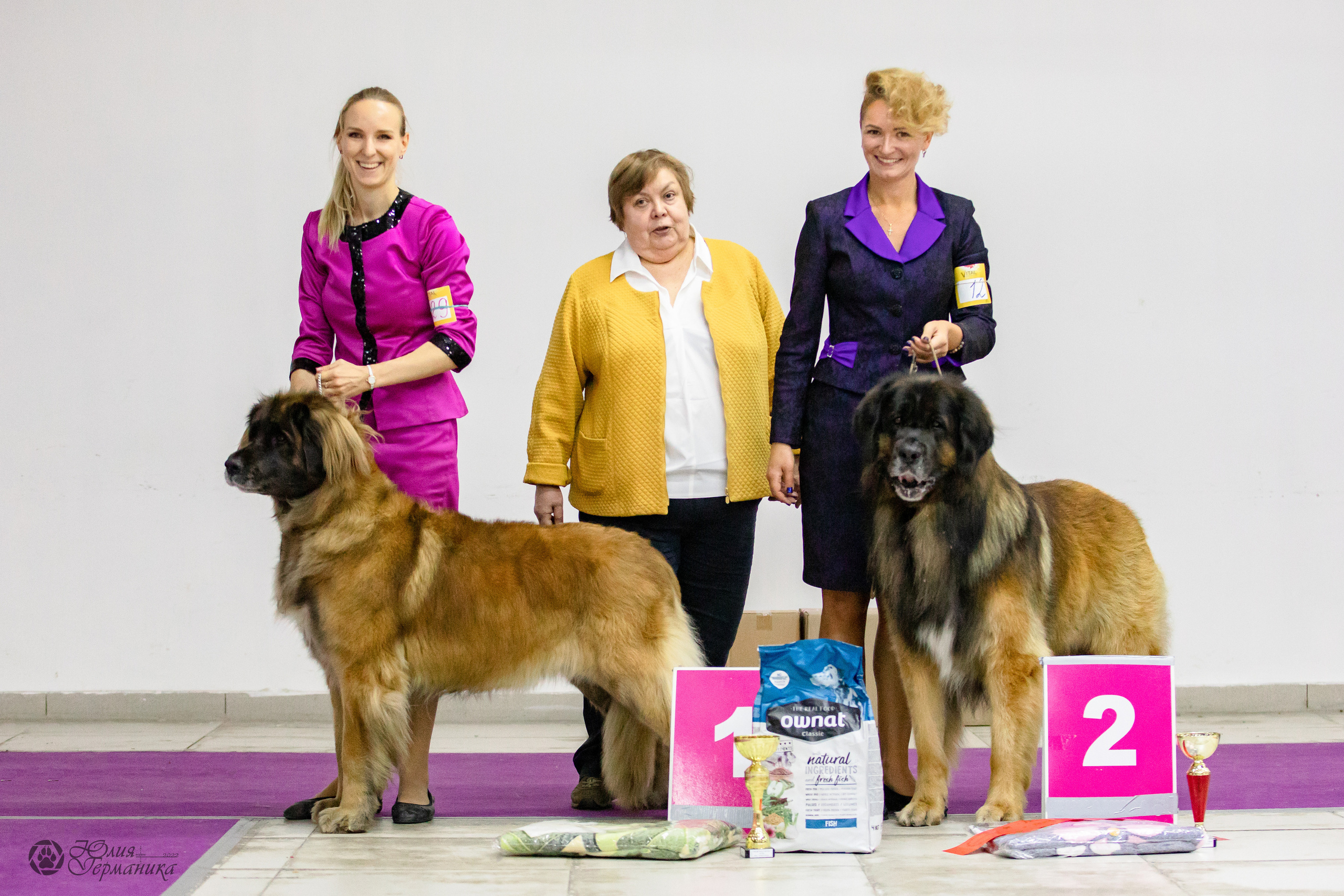 Чайна-Таун 29-30.10.2022. Фотограф-анималист Юлия Германика