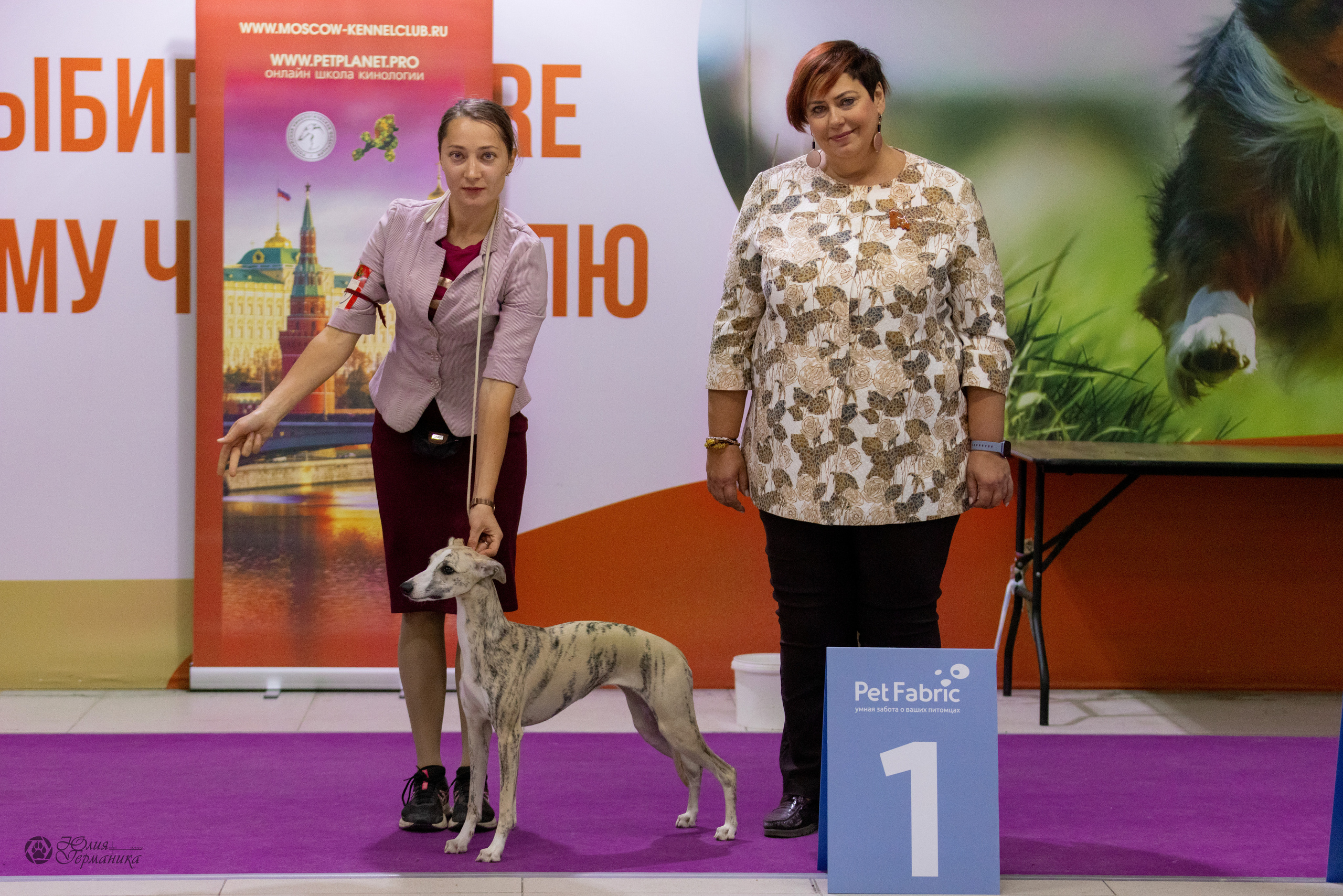 Чайна-Таун 3 и 12.11.2022. Фотограф-анималист Юлия Германика