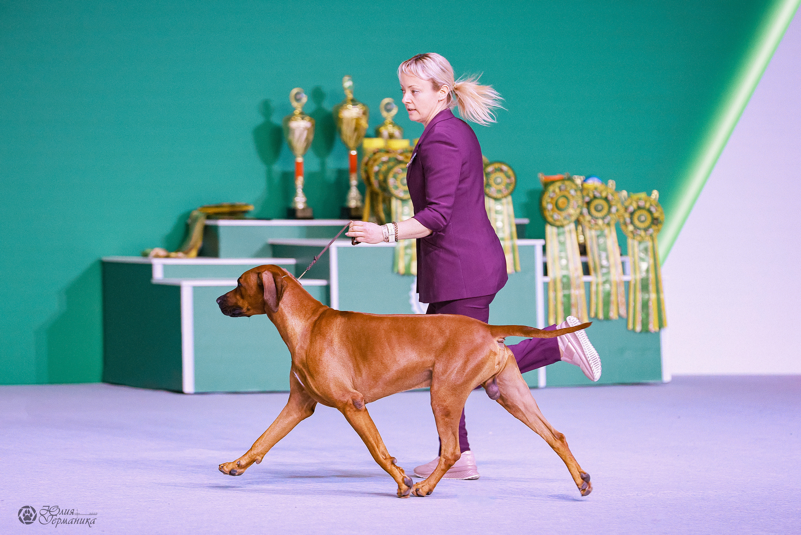 Россия 2020-2022 26-27.11.2022. Фотограф-анималист Юлия Германика