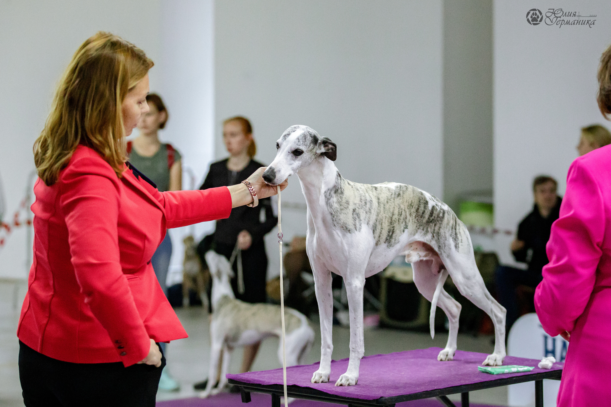 Чайна-Таун 29-30.10.2022. Фотограф-анималист Юлия Германика