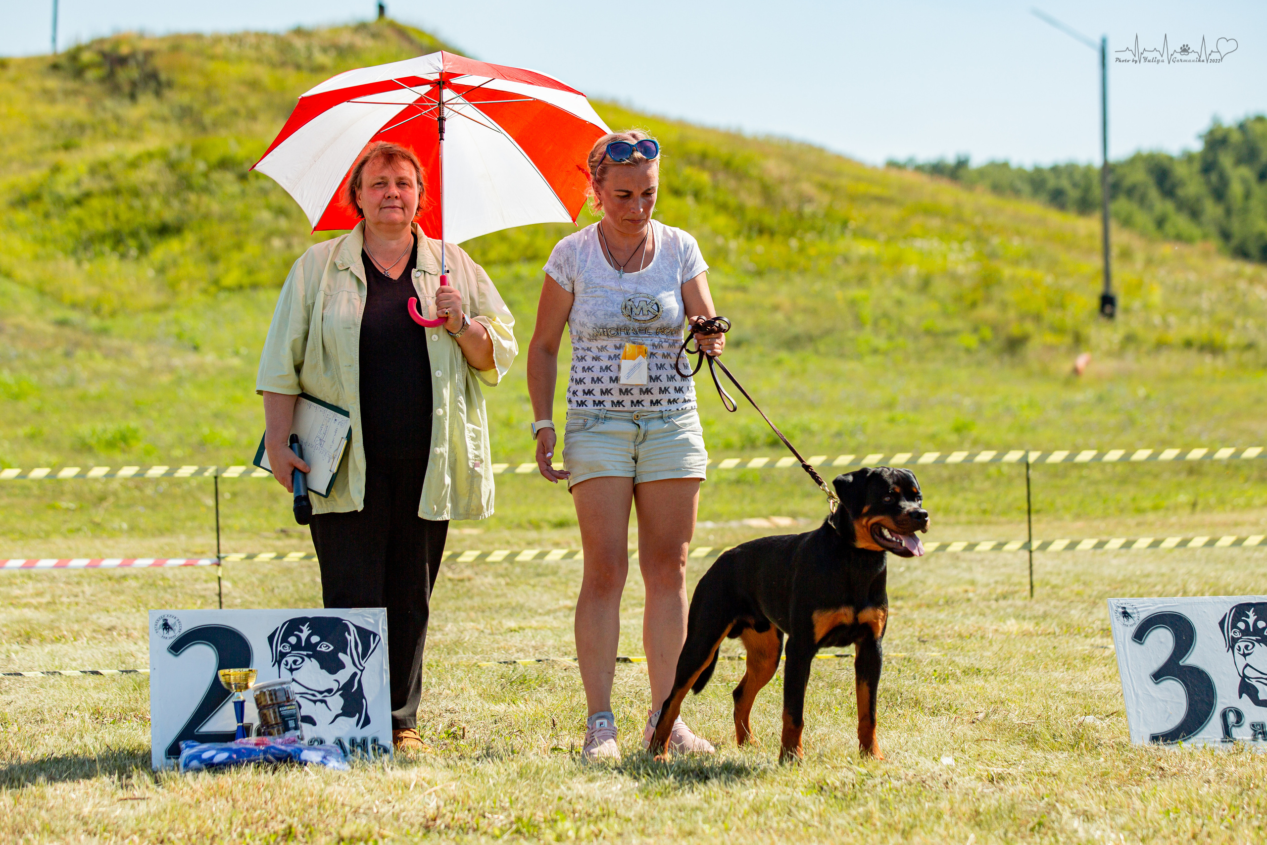 Рязань моно ротвейлеров 13.08.2022. Фотограф-анималист Юлия Германика