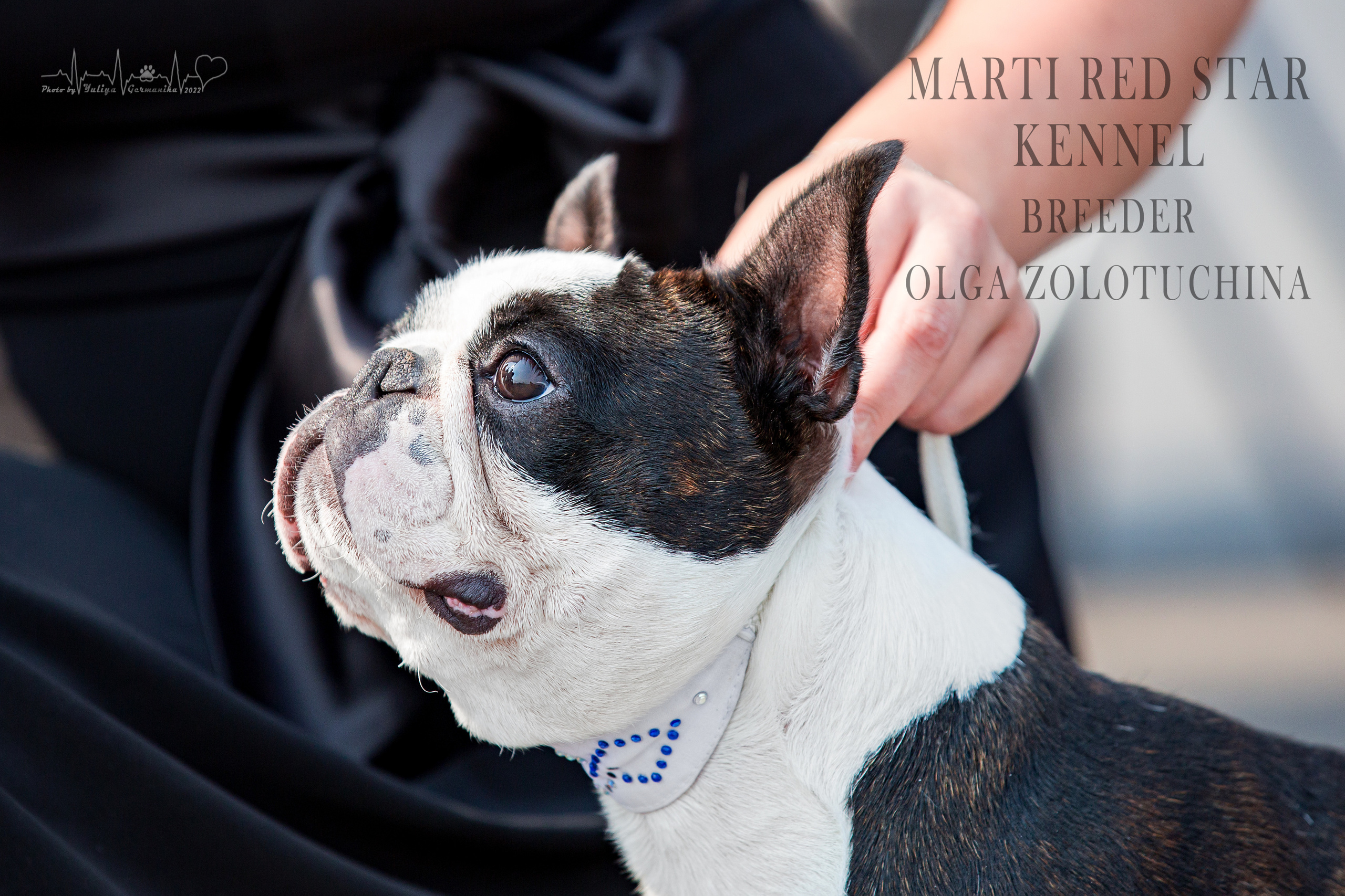 Сокольники 21.08,Сергиев Посад 27-28.08 2022. Фотограф-анималист Юлия Германика