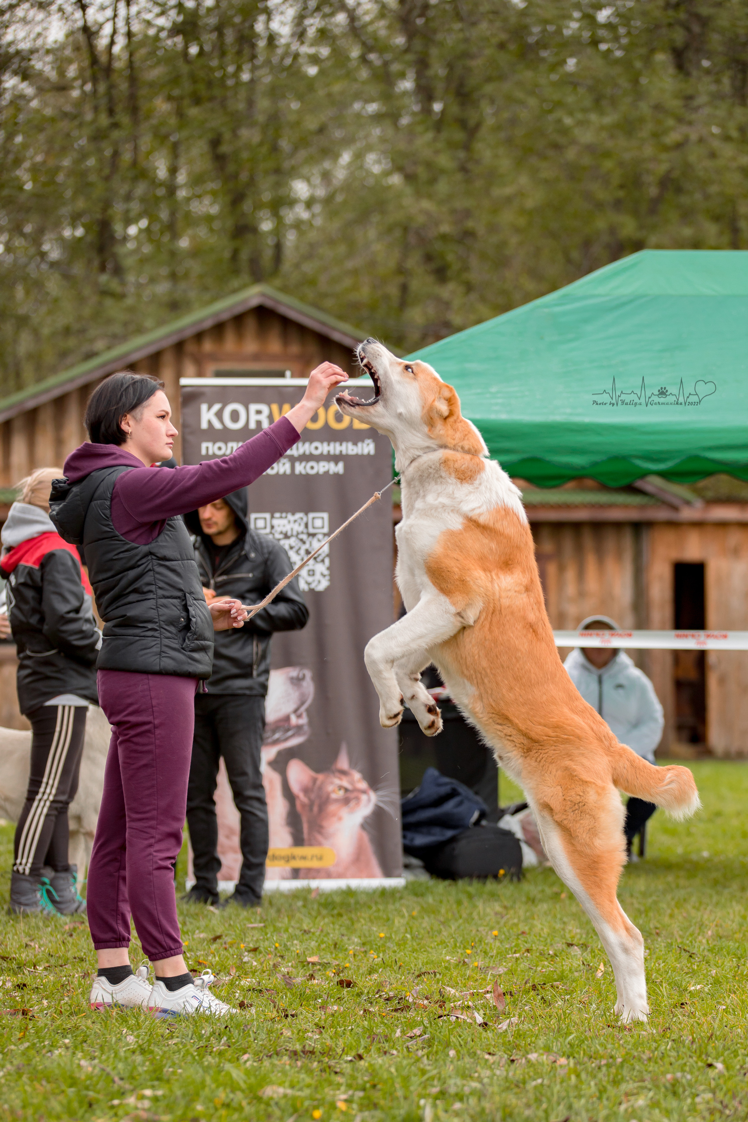 Александрова Слобода моно сао 2.10.2022. Фотограф-анималист Юлия Германика