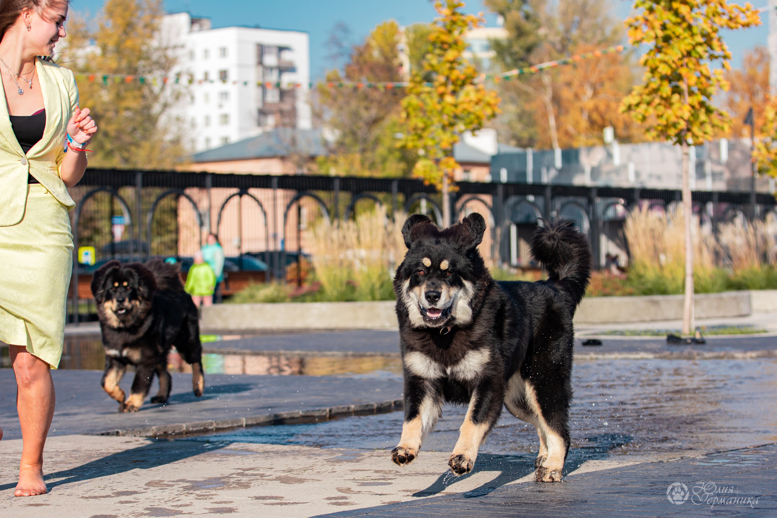 Нижний Новгород 15-16.10.2022. Фотограф-анималист Юлия Германика