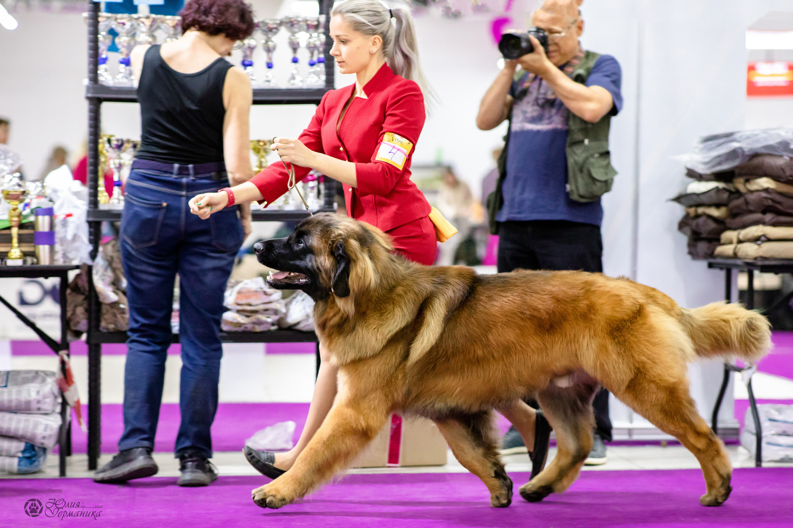 Чайна-Таун 29-30.10.2022. Фотограф-анималист Юлия Германика