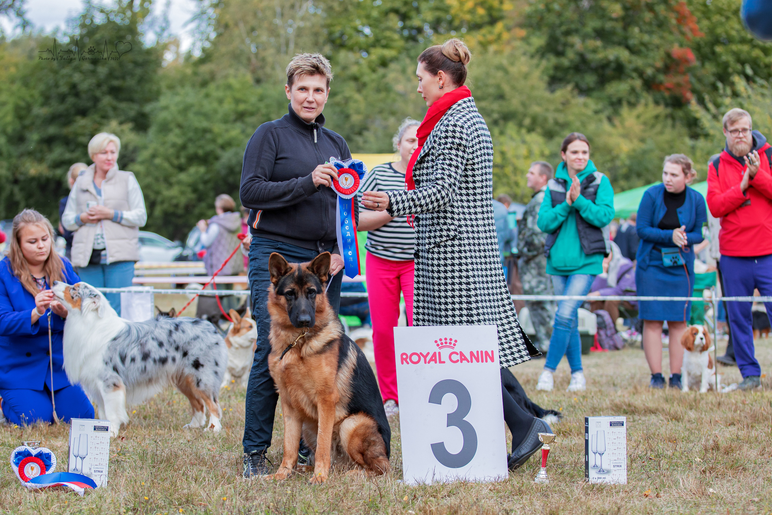 Пушкино ЧРКФ 17.09.2022. Фотограф-анималист Юлия Германика
