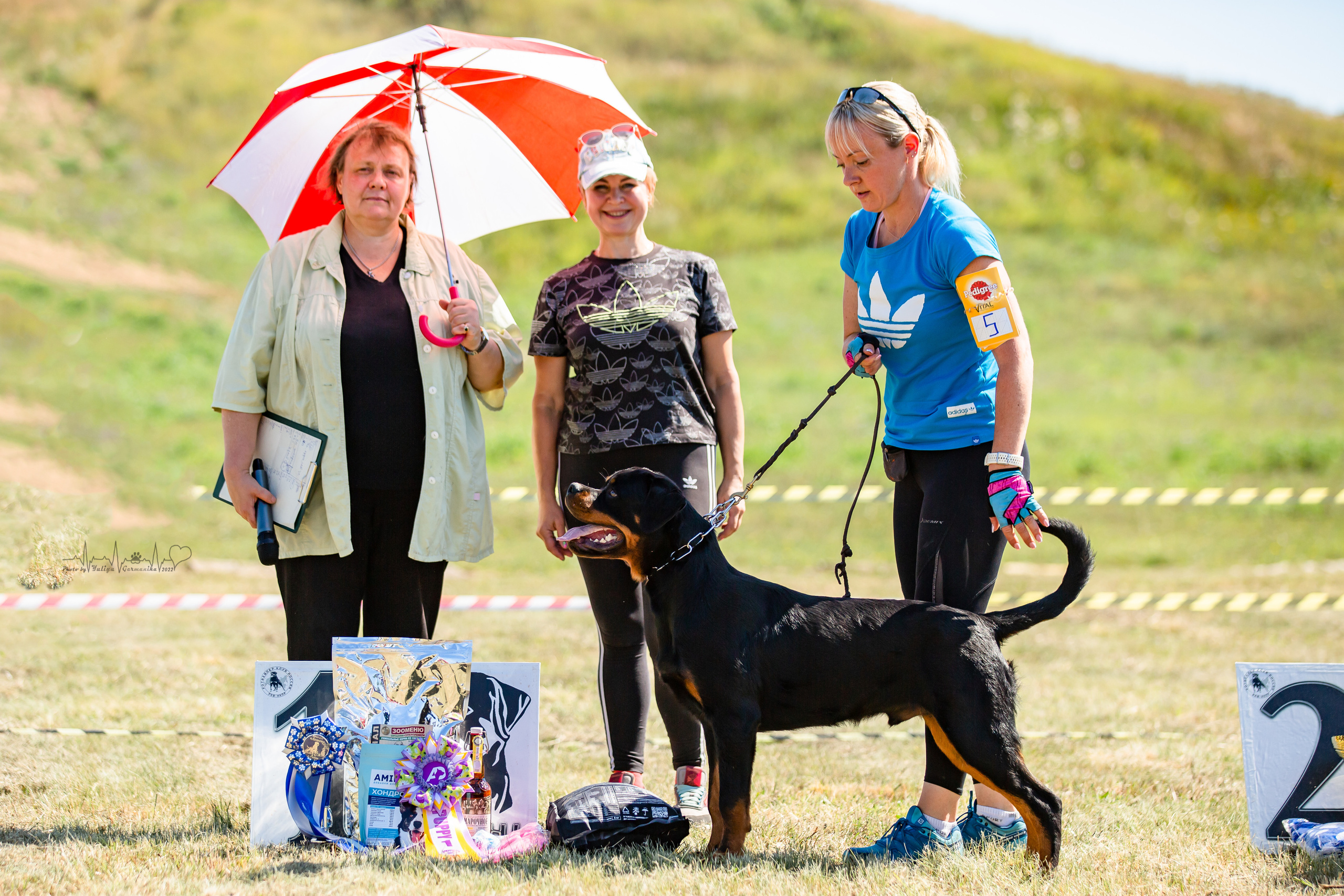 Рязань моно ротвейлеров 13.08.2022. Фотограф-анималист Юлия Германика