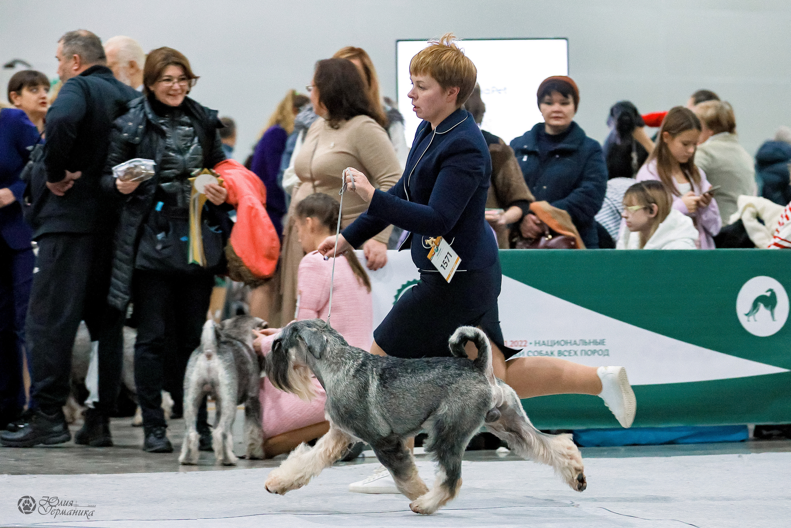 Россия 2020-2022 26-27.11.2022. Фотограф-анималист Юлия Германика