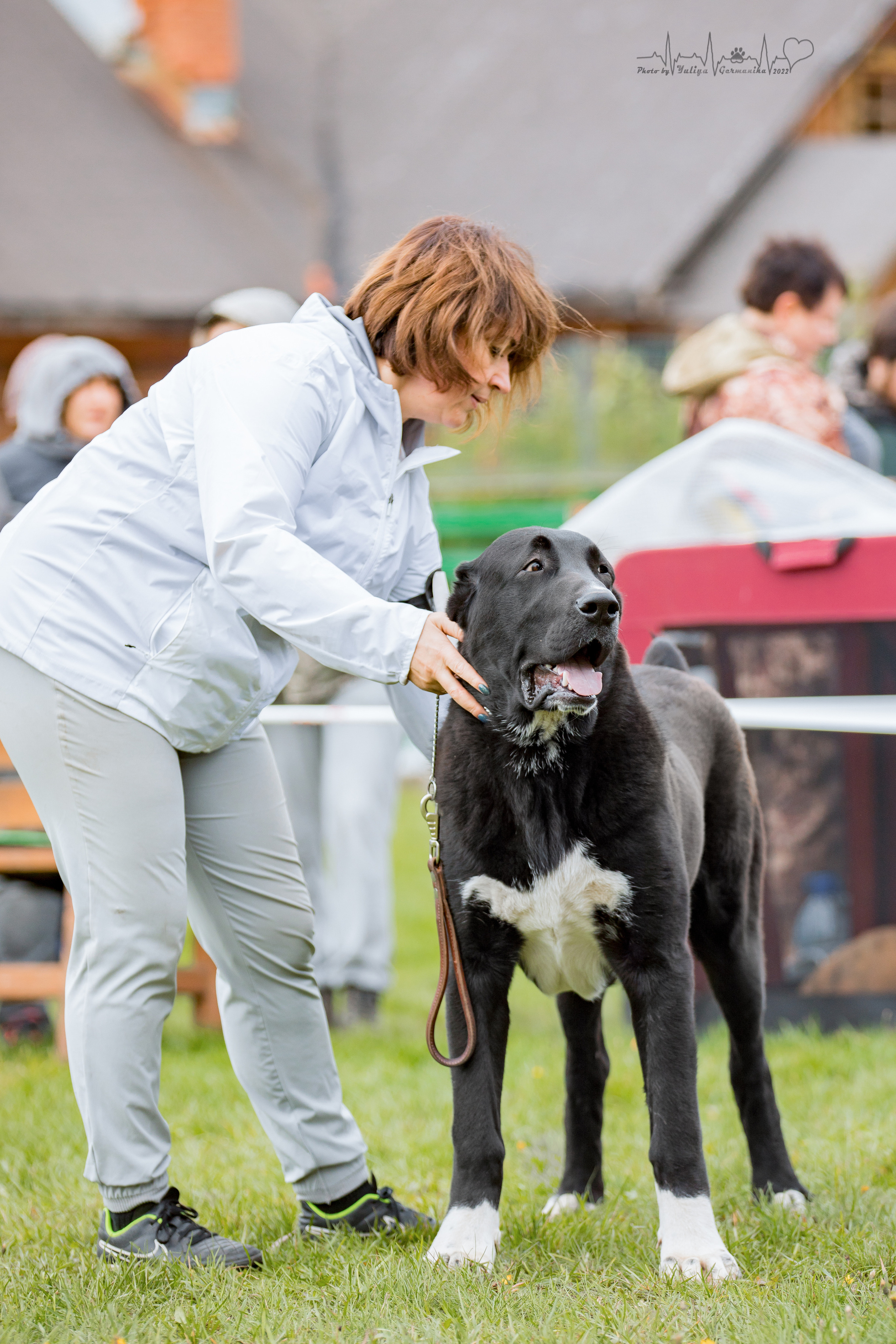 Александрова Слобода моно сао 2.10.2022. Фотограф-анималист Юлия Германика