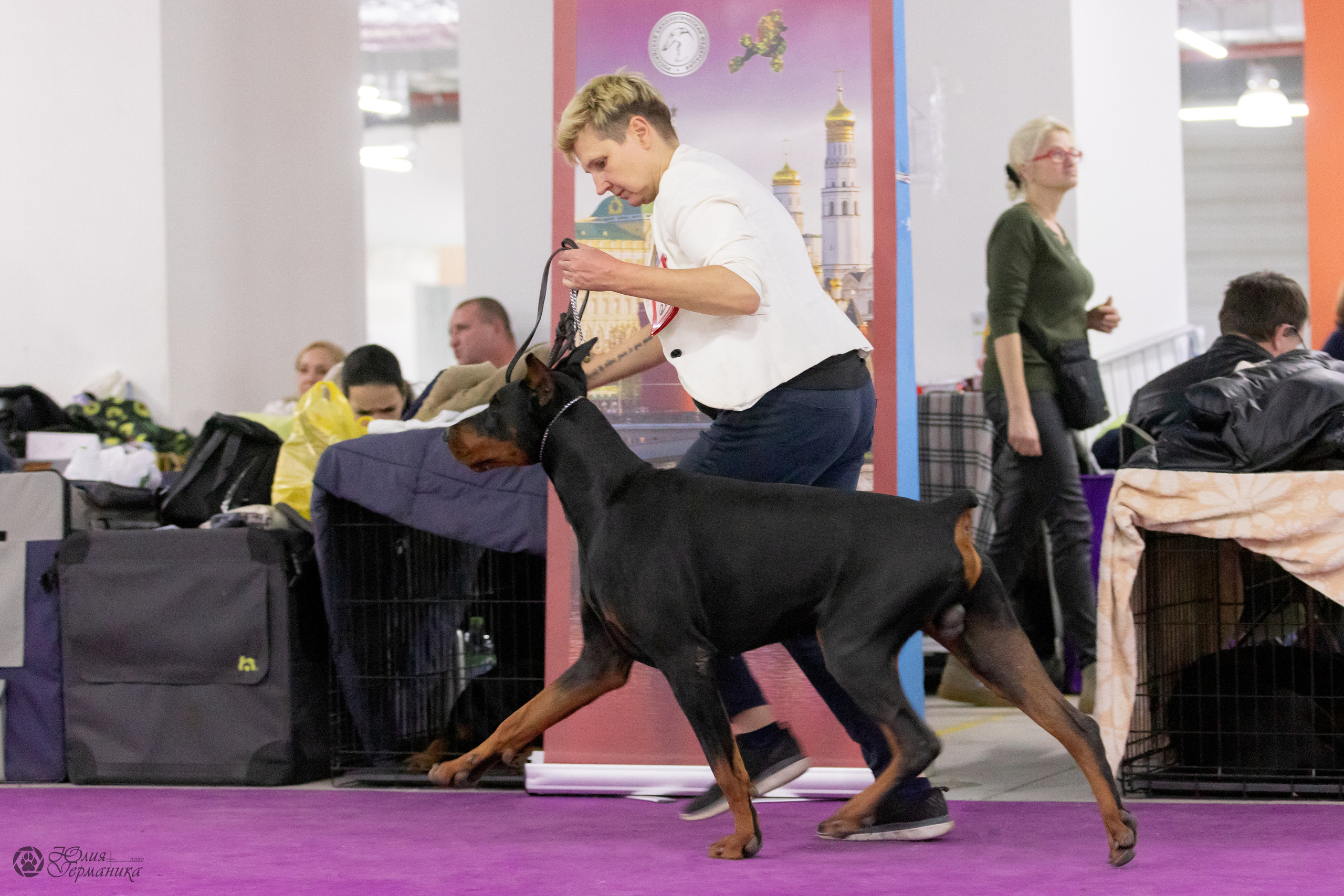 Чайна-Таун 3 и 12.11.2022. Фотограф-анималист Юлия Германика