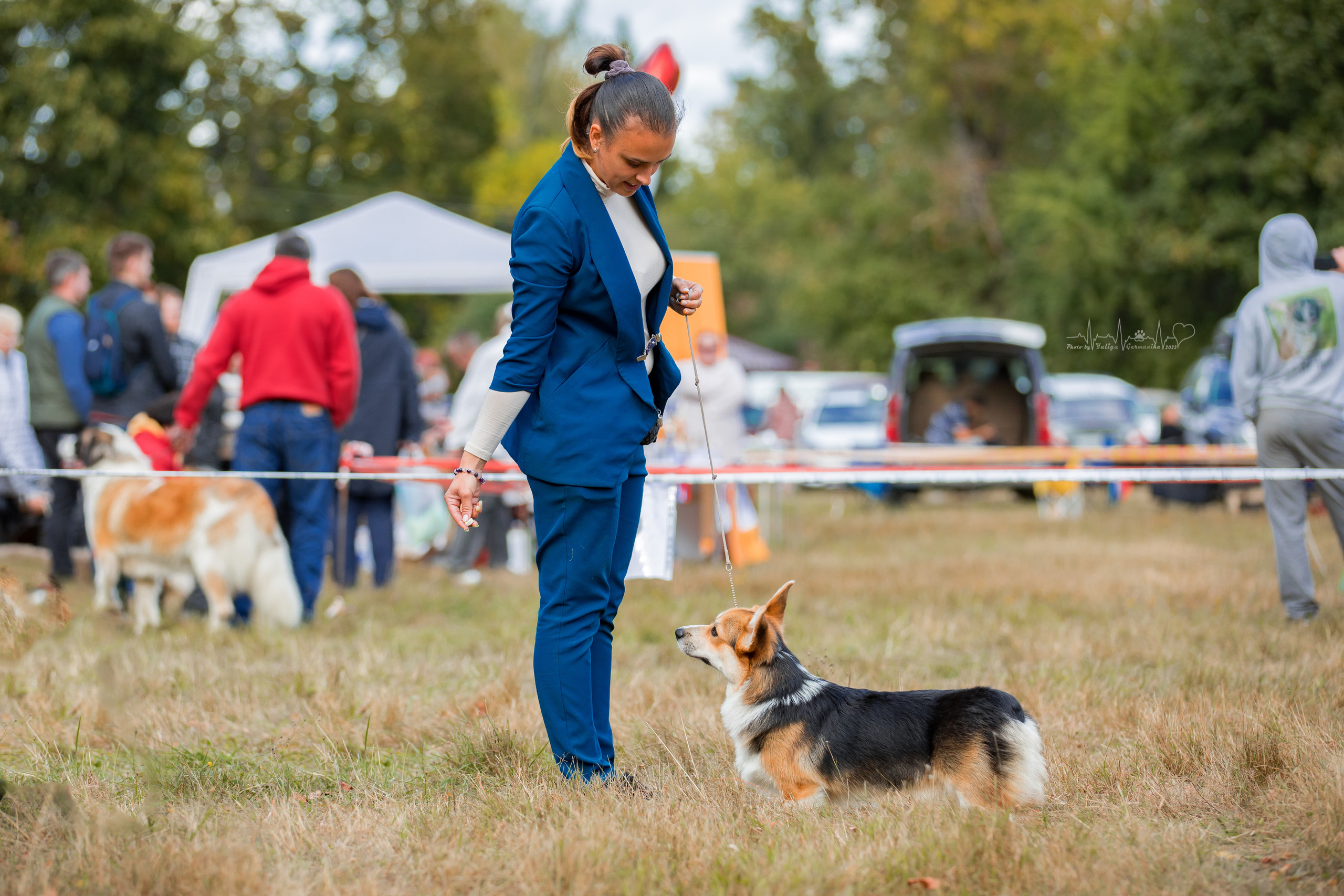 Пушкино ЧРКФ 17.09.2022. Фотограф-анималист Юлия Германика