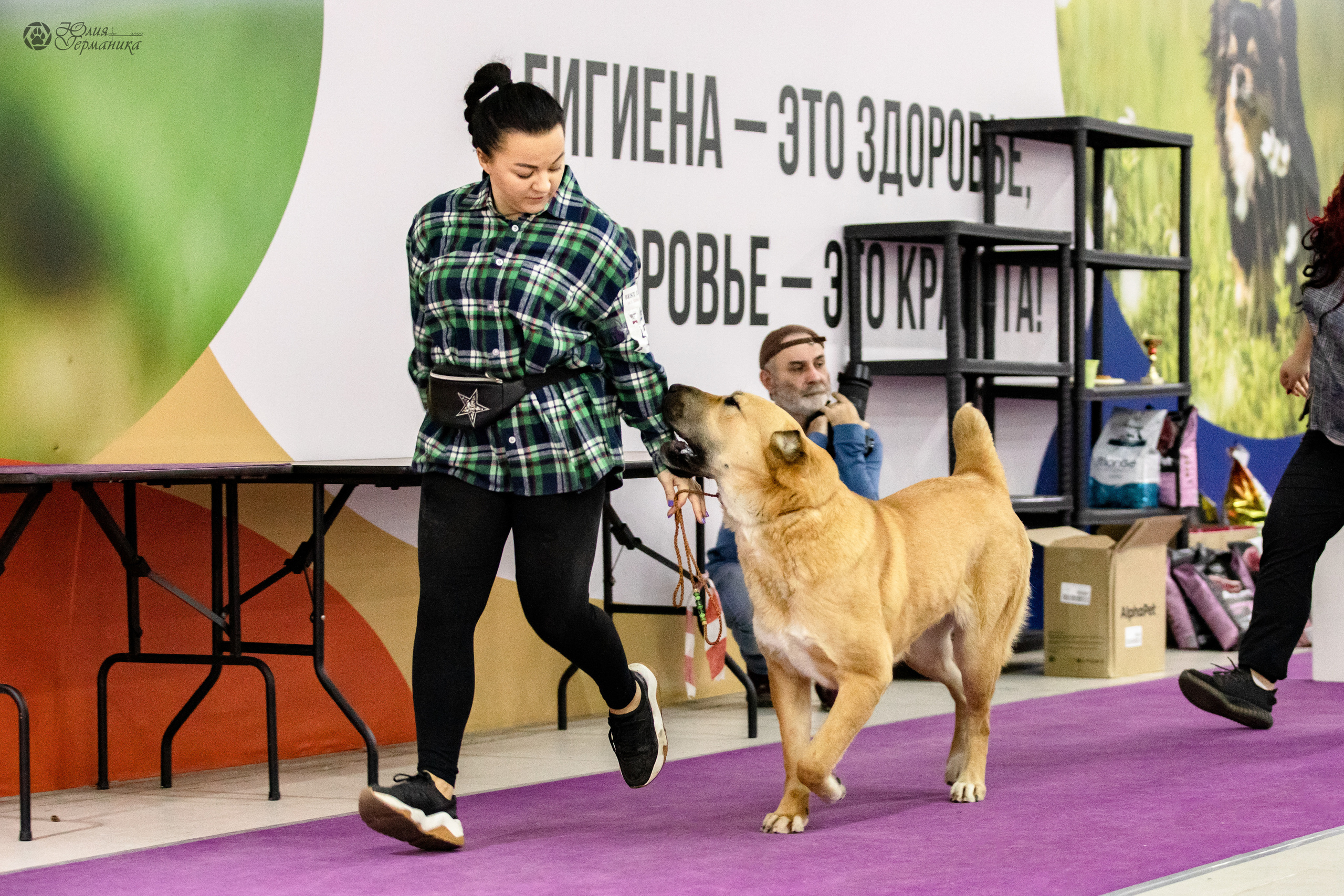 Чайна-Таун 29-30.10.2022. Фотограф-анималист Юлия Германика