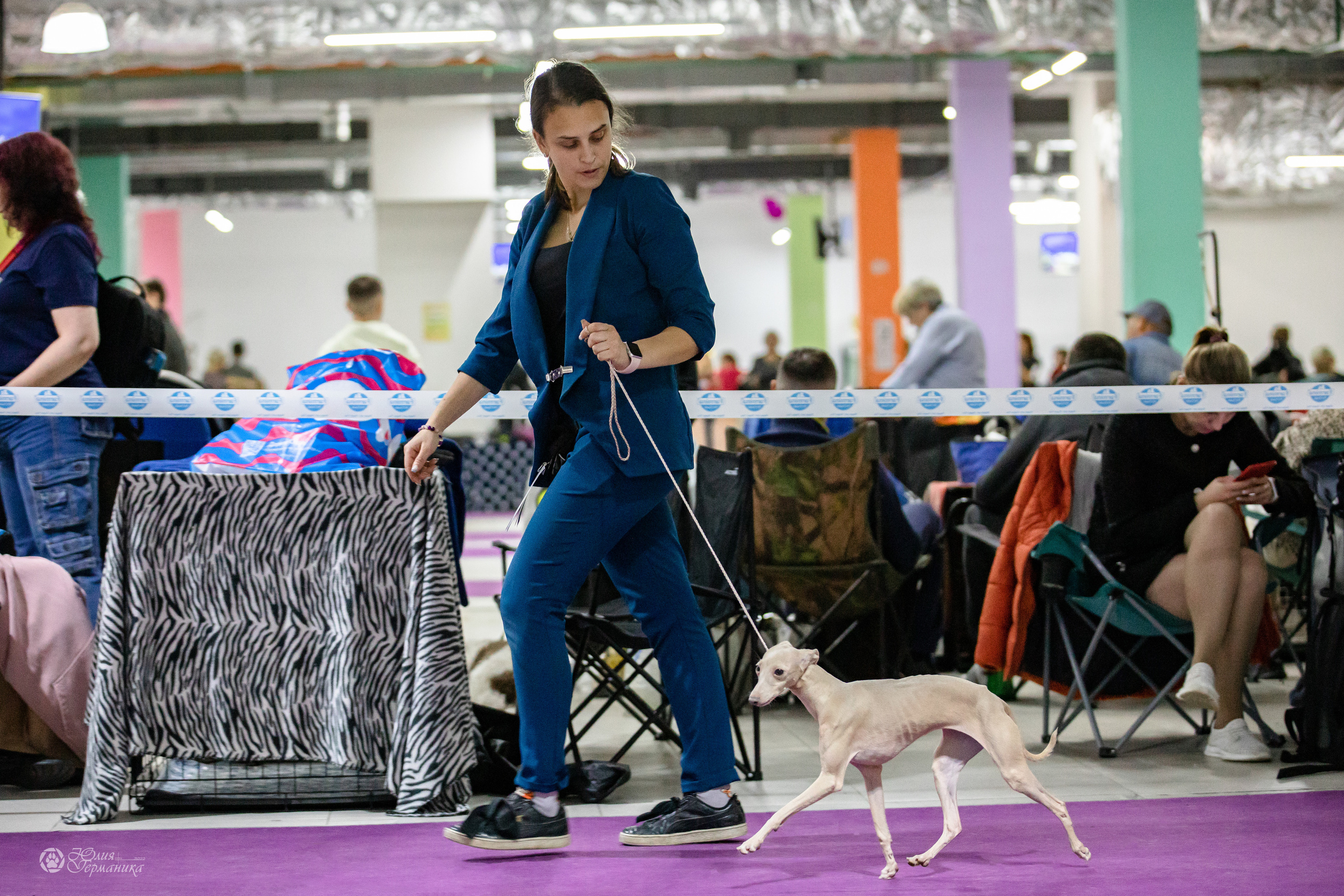 Чайна-Таун 29-30.10.2022. Фотограф-анималист Юлия Германика