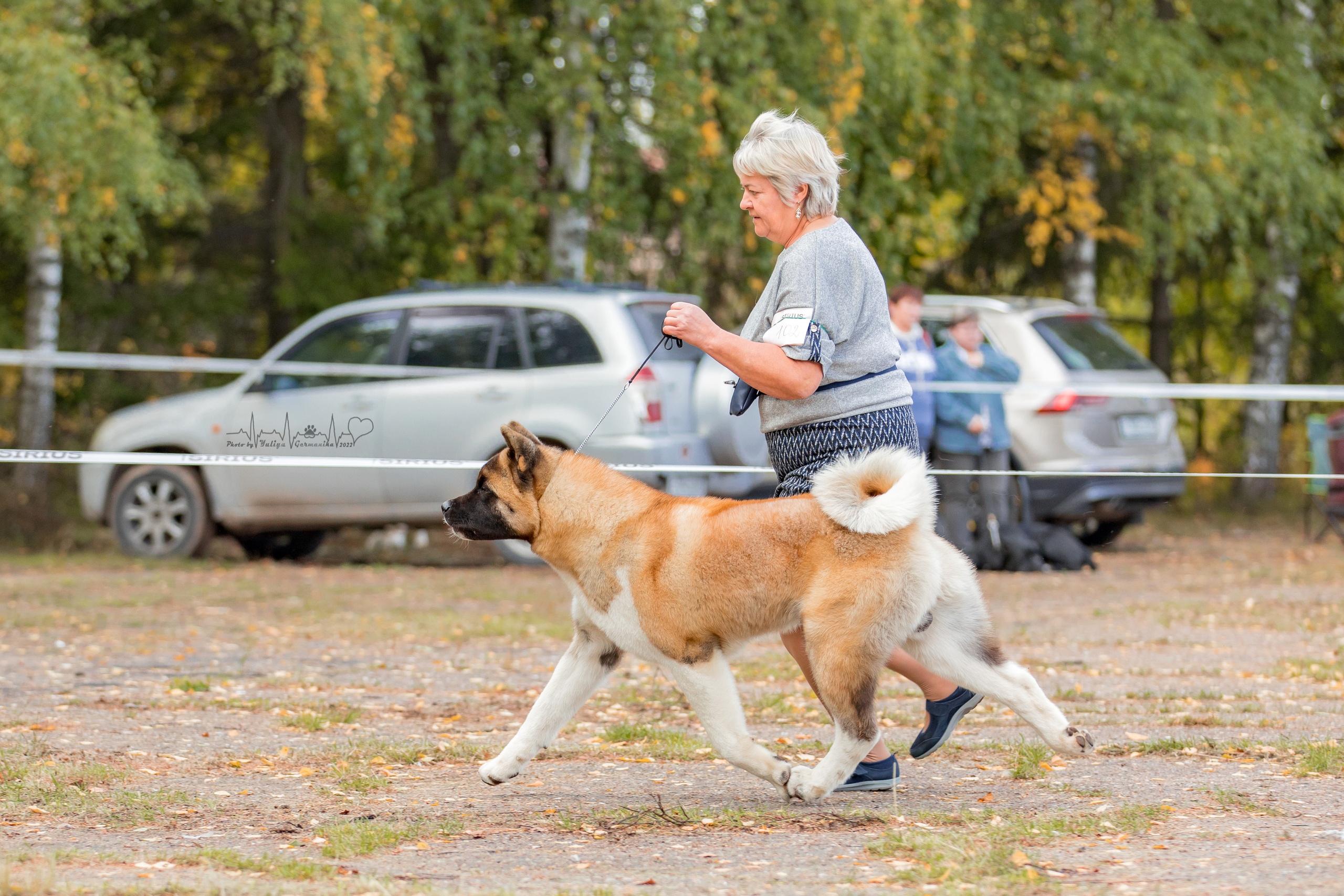 Тверь ЧРКФ 18.09.2022. Фотограф-анималист Юлия Германика