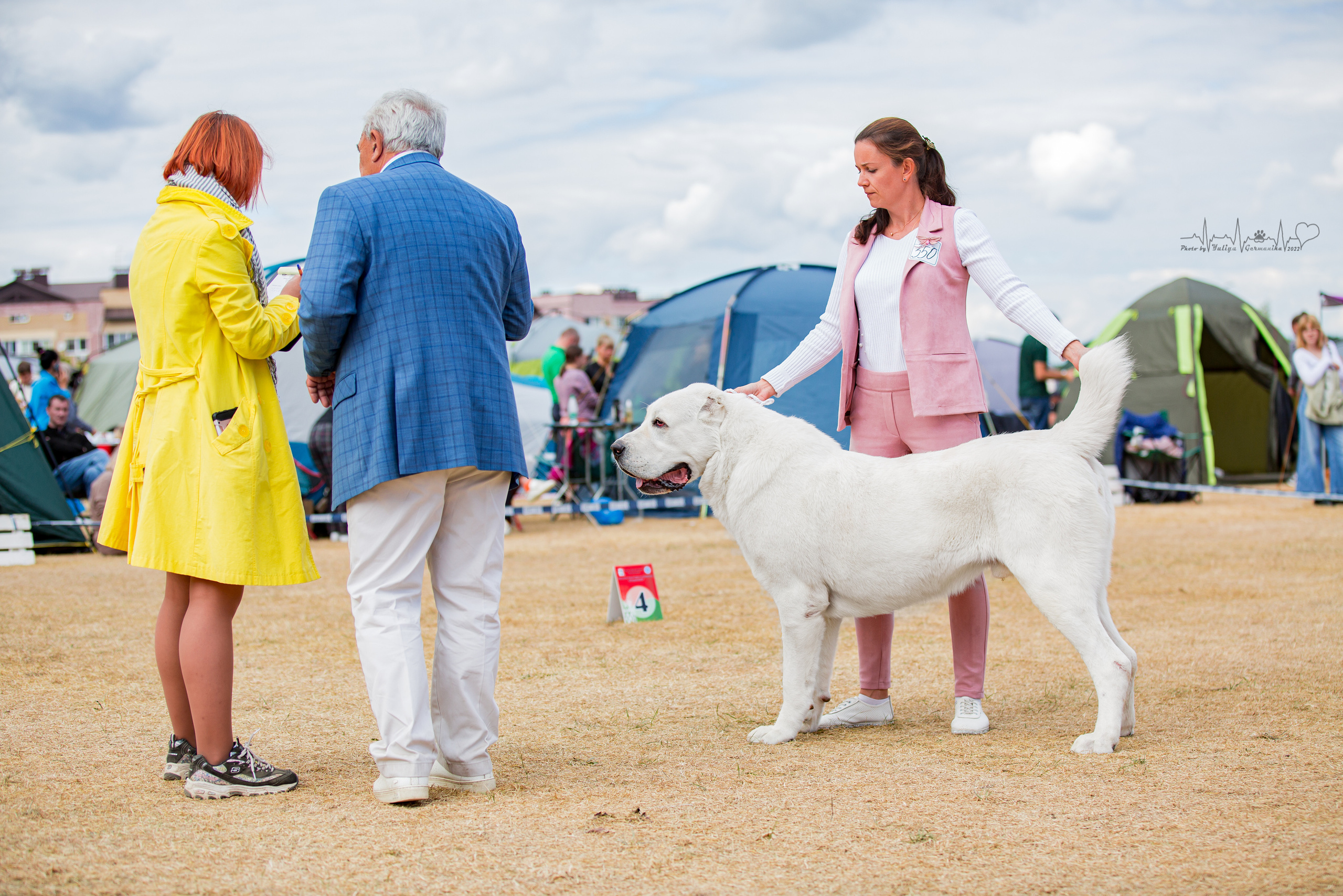 Минск 2хCACIB 3-4.09.2022. Фотограф-анималист Юлия Германика