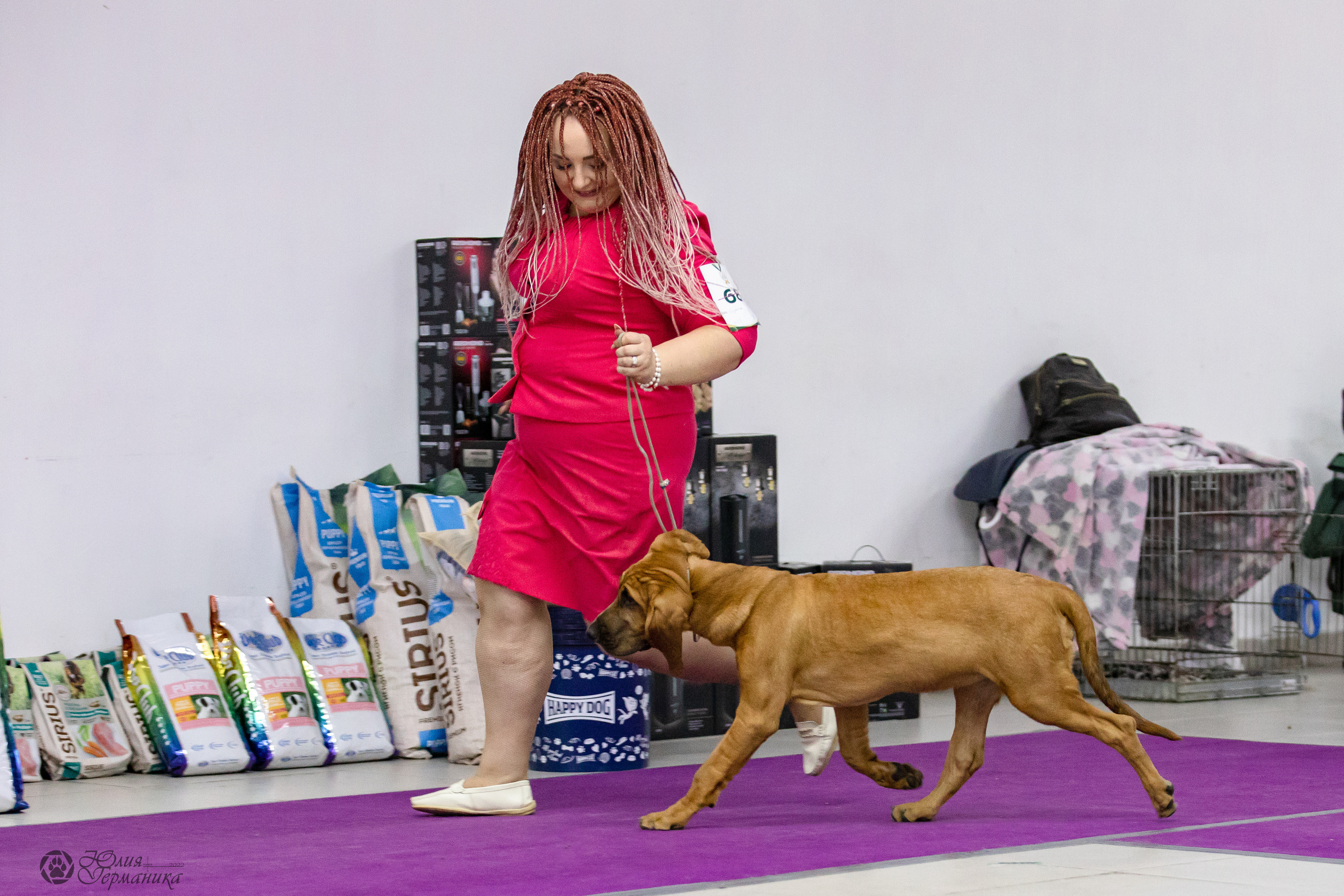 Чайна-Таун 29-30.10.2022. Фотограф-анималист Юлия Германика