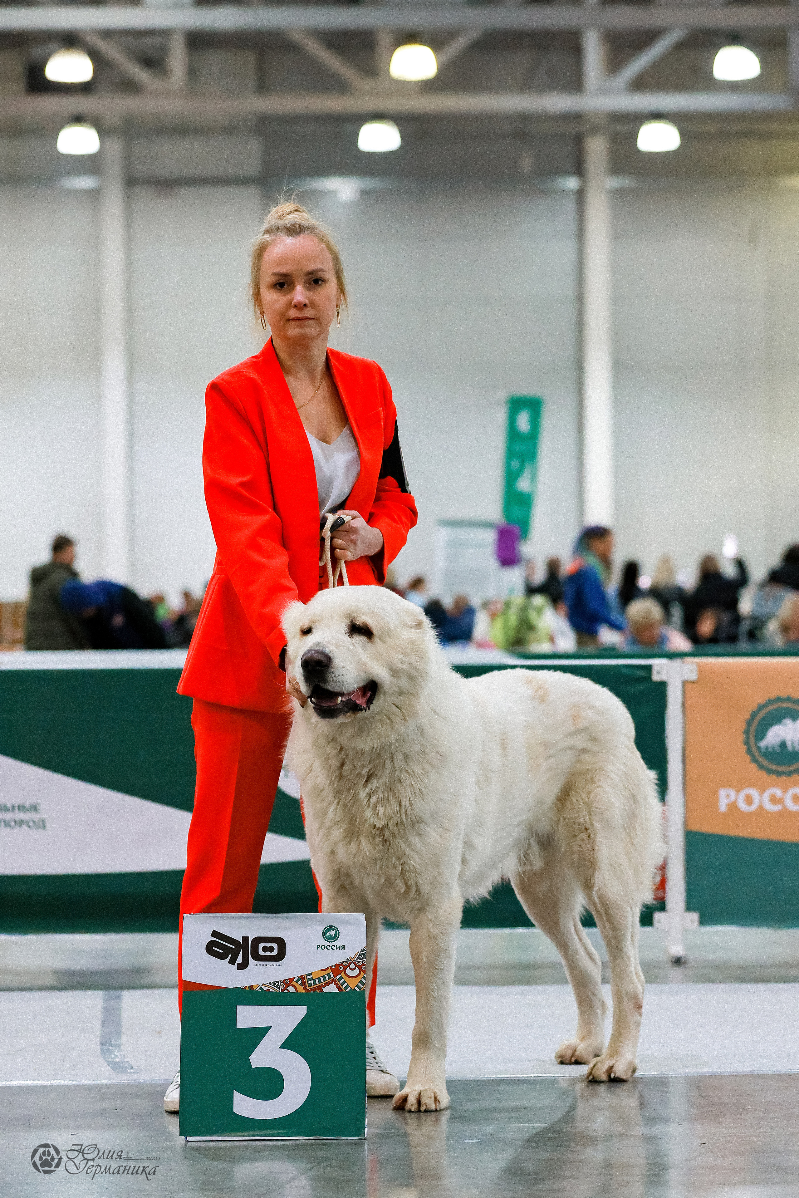 Россия 2020-2022 26-27.11.2022. Фотограф-анималист Юлия Германика