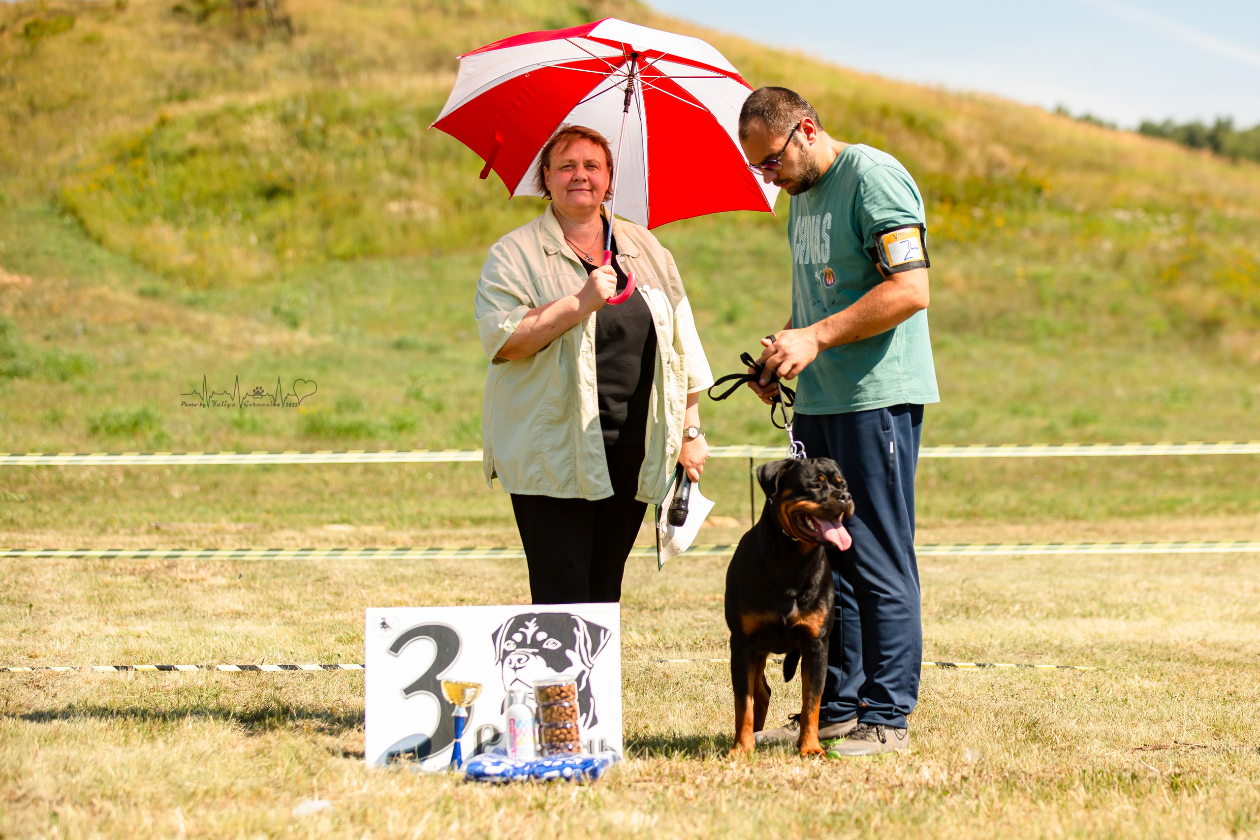 Рязань моно ротвейлеров 13.08.2022. Фотограф-анималист Юлия Германика
