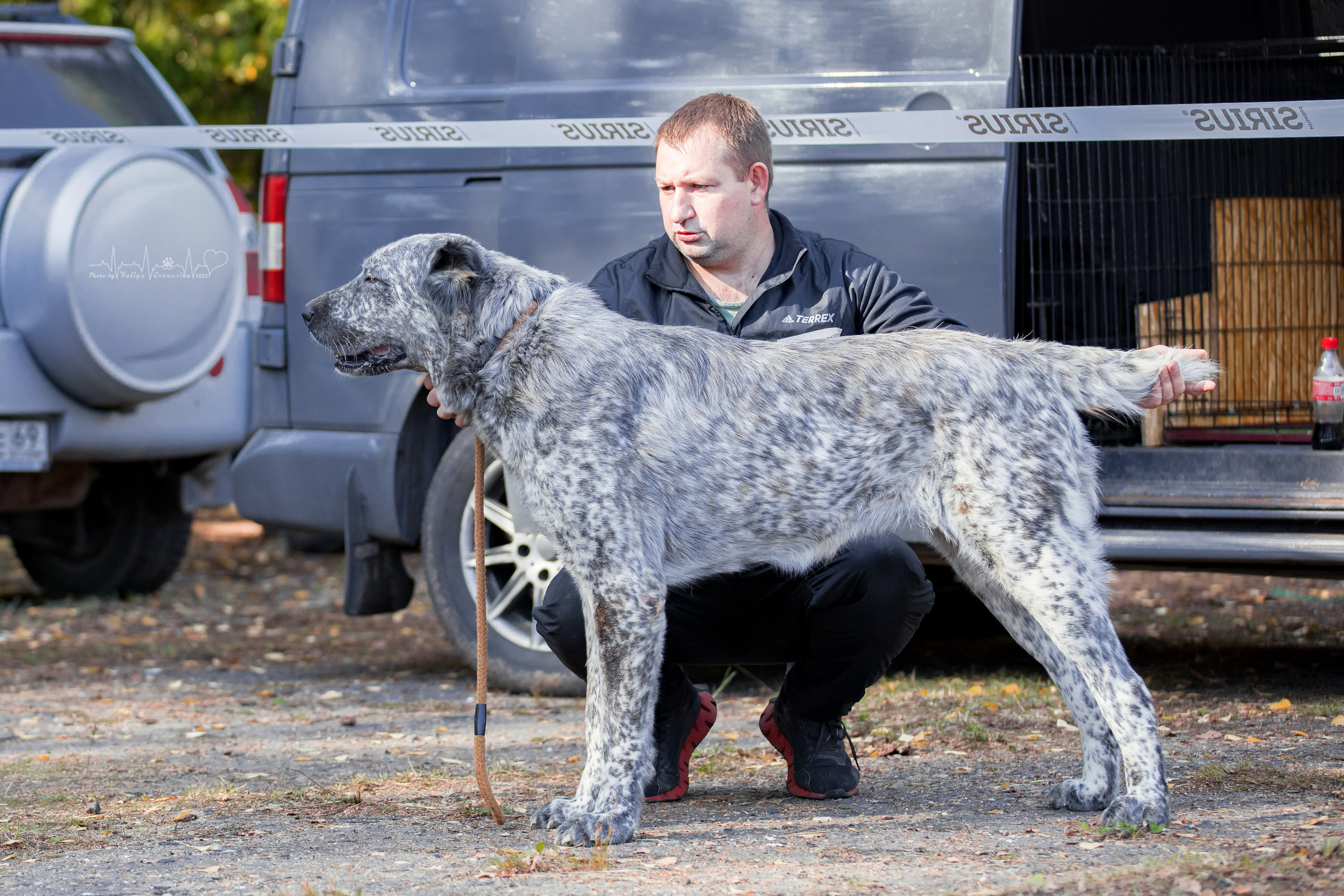 Тверь ЧРКФ 18.09.2022. Фотограф-анималист Юлия Германика