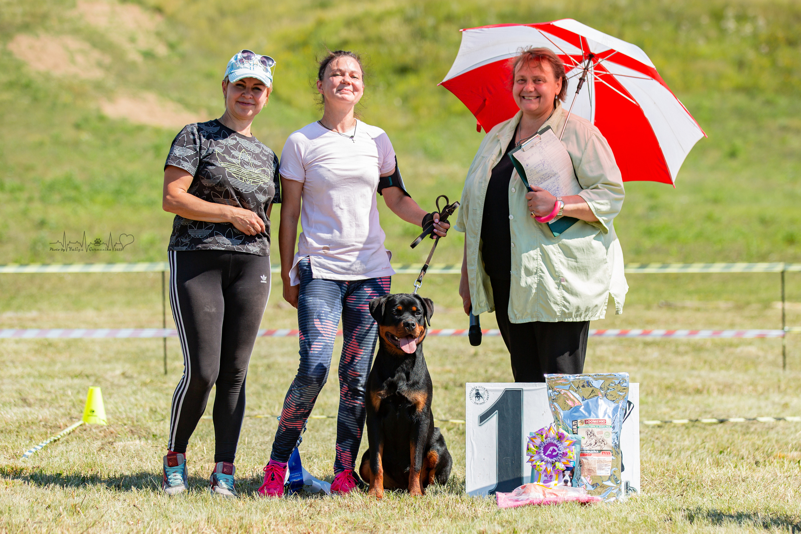 Рязань моно ротвейлеров 13.08.2022. Фотограф-анималист Юлия Германика