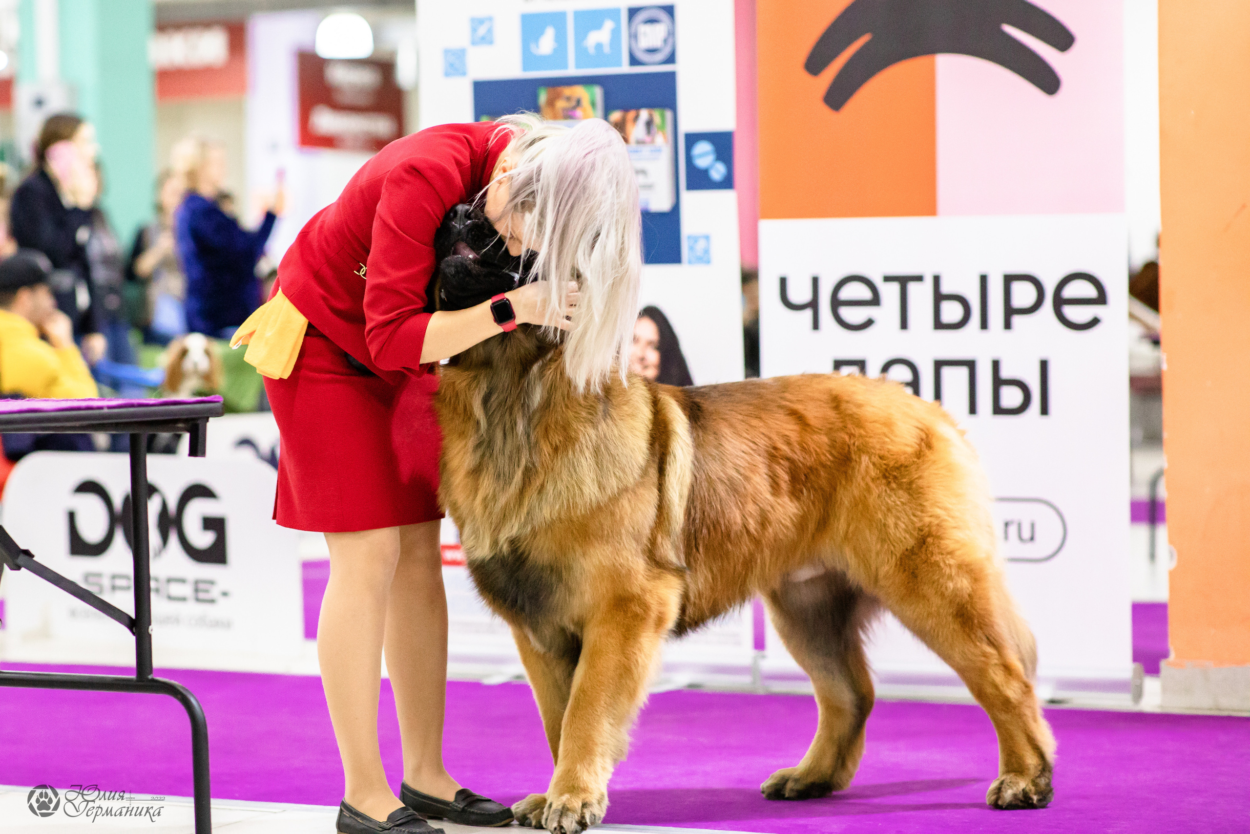 Чайна-Таун 29-30.10.2022. Фотограф-анималист Юлия Германика