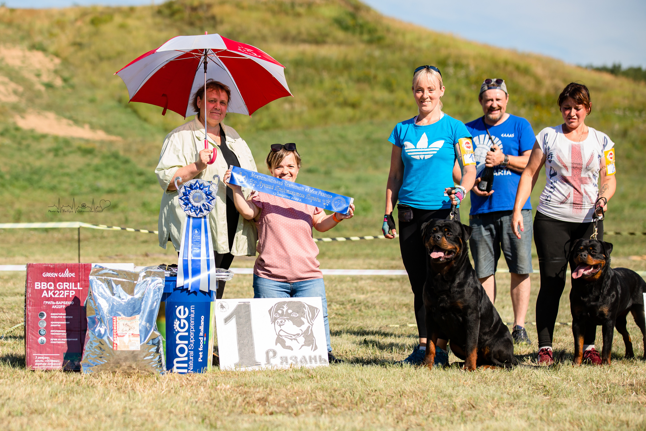 Рязань моно ротвейлеров 13.08.2022. Фотограф-анималист Юлия Германика