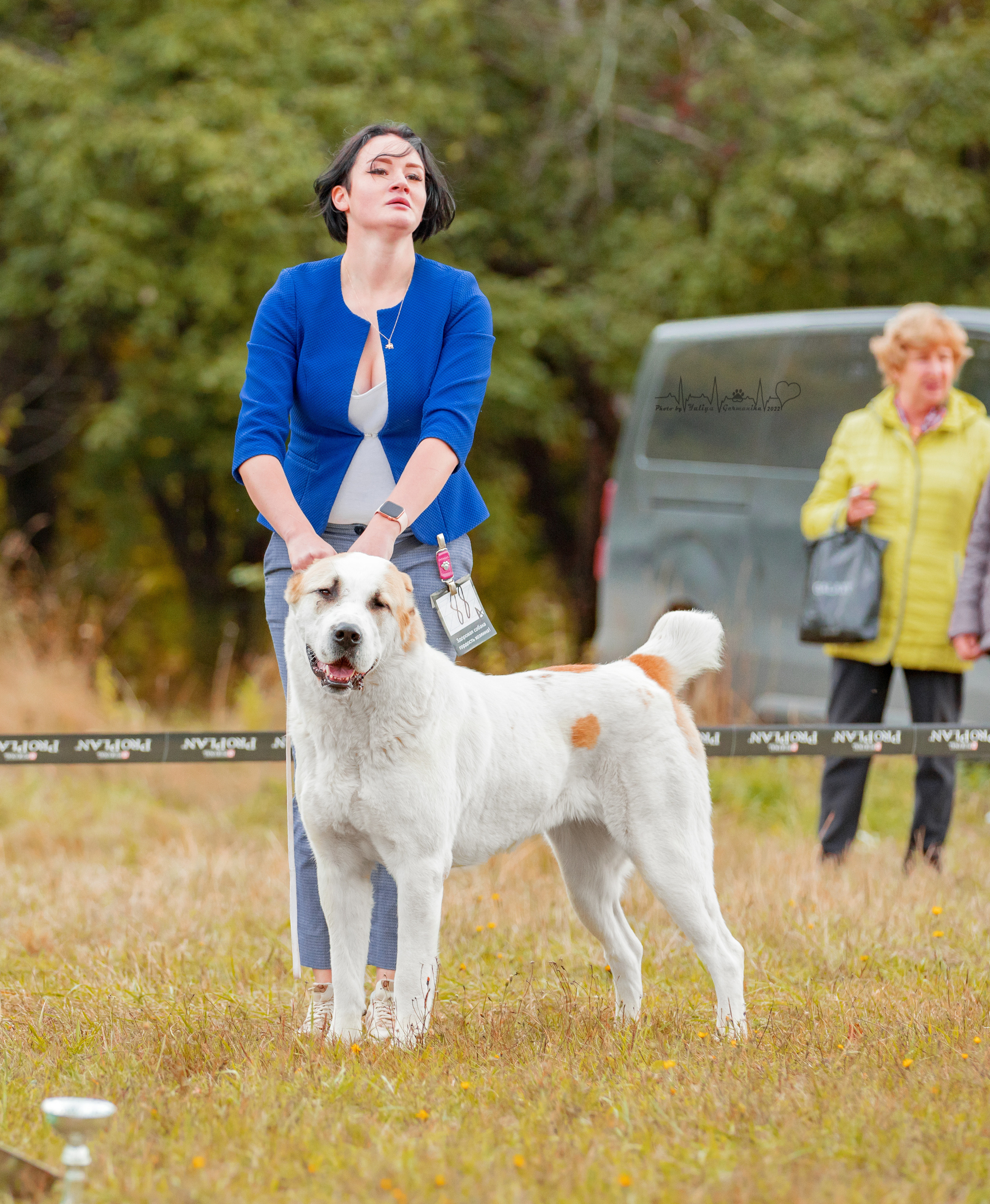 Пушкино ЧРКФ 17.09.2022. Фотограф-анималист Юлия Германика