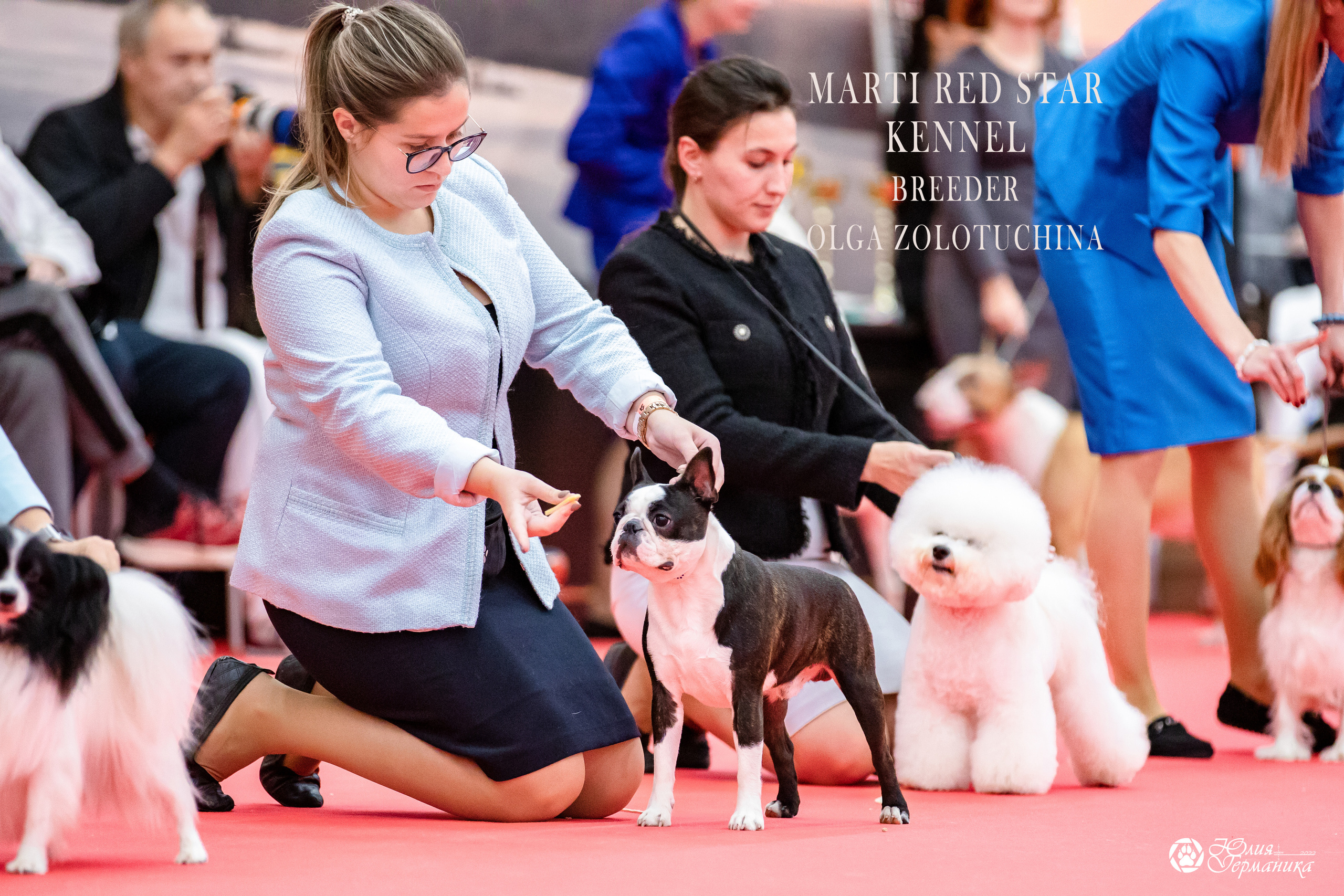 Нижний Новгород 15-16.10.2022. Фотограф-анималист Юлия Германика