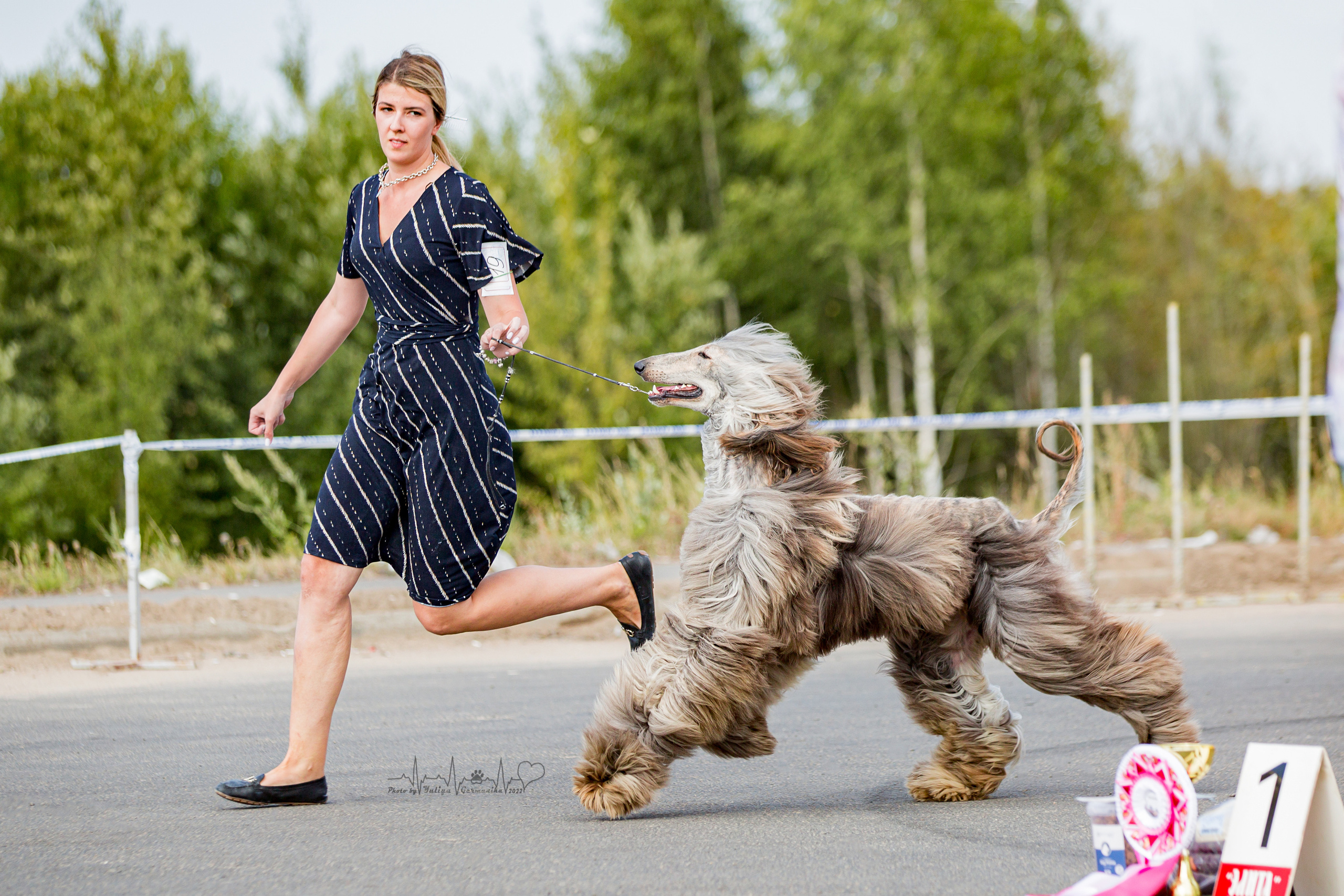 Сокольники 21.08,Сергиев Посад 27-28.08 2022. Фотограф-анималист Юлия Германика