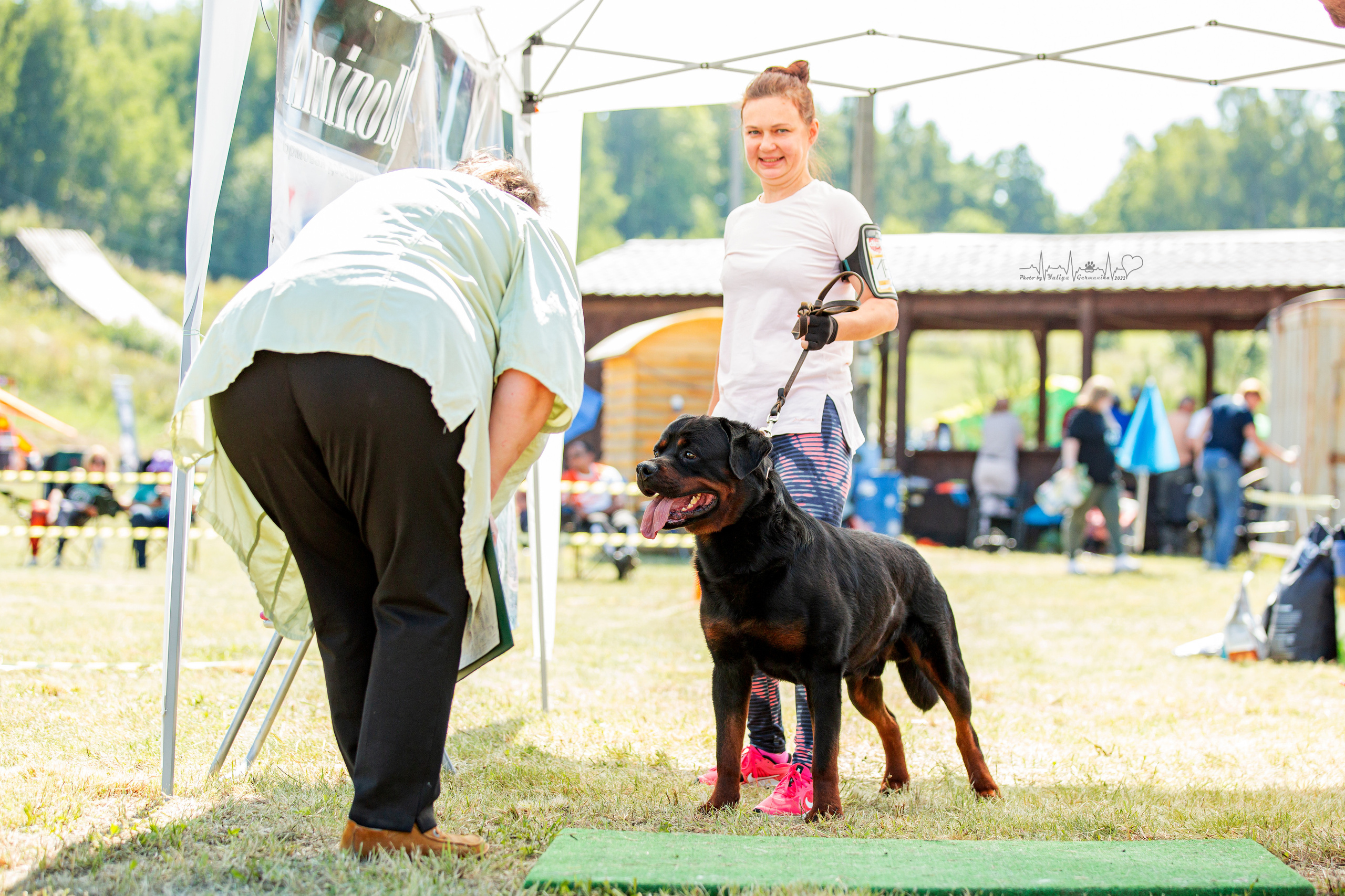 Рязань моно ротвейлеров 13.08.2022. Фотограф-анималист Юлия Германика