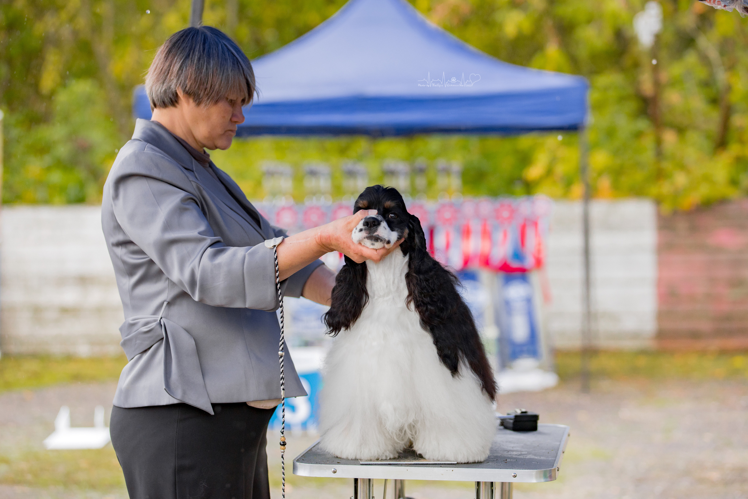 Александров 24.09.2022. Фотограф-анималист Юлия Германика