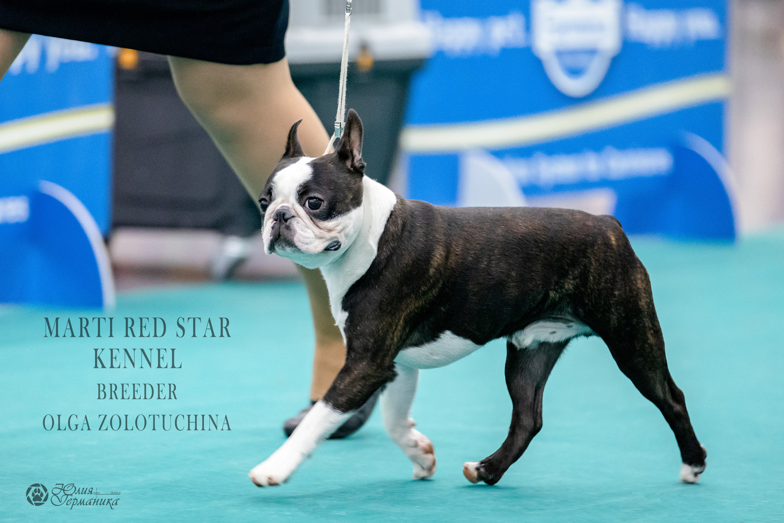 Нижний Новгород 15-16.10.2022. Фотограф-анималист Юлия Германика