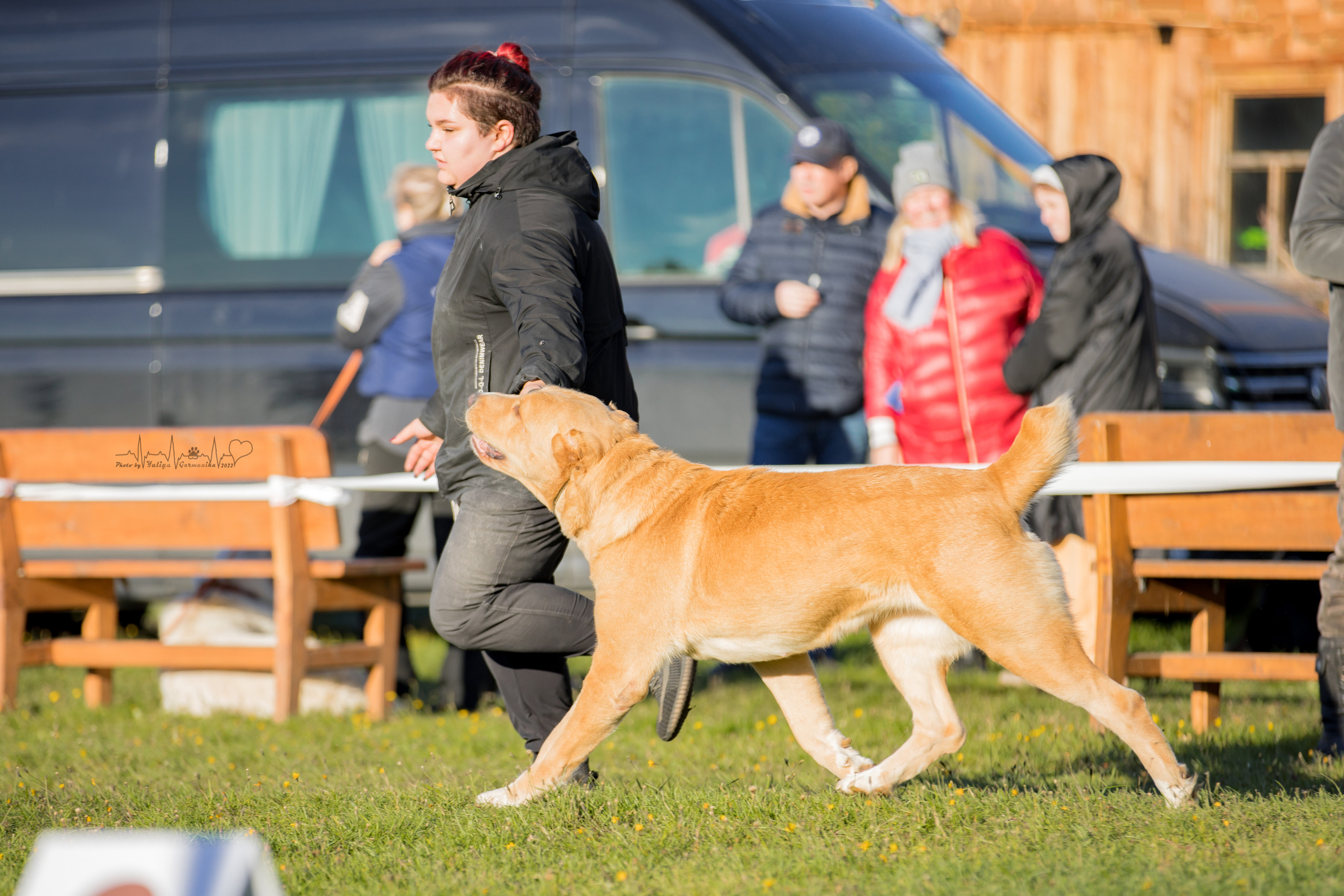 Александрова Слобода моно сао 2.10.2022. Фотограф-анималист Юлия Германика