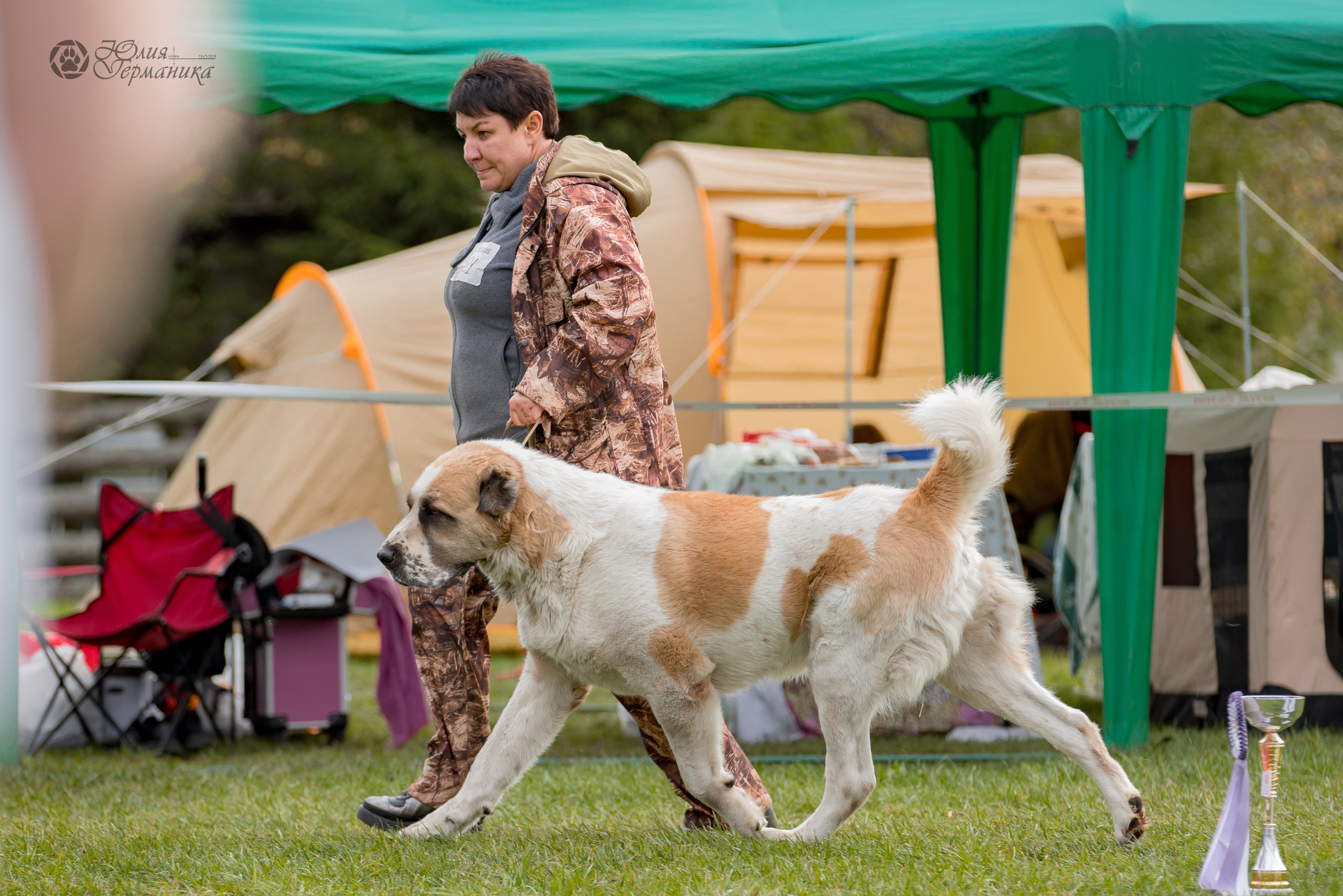 Александрова Слобода моно сао 2.10.2022. Фотограф-анималист Юлия Германика