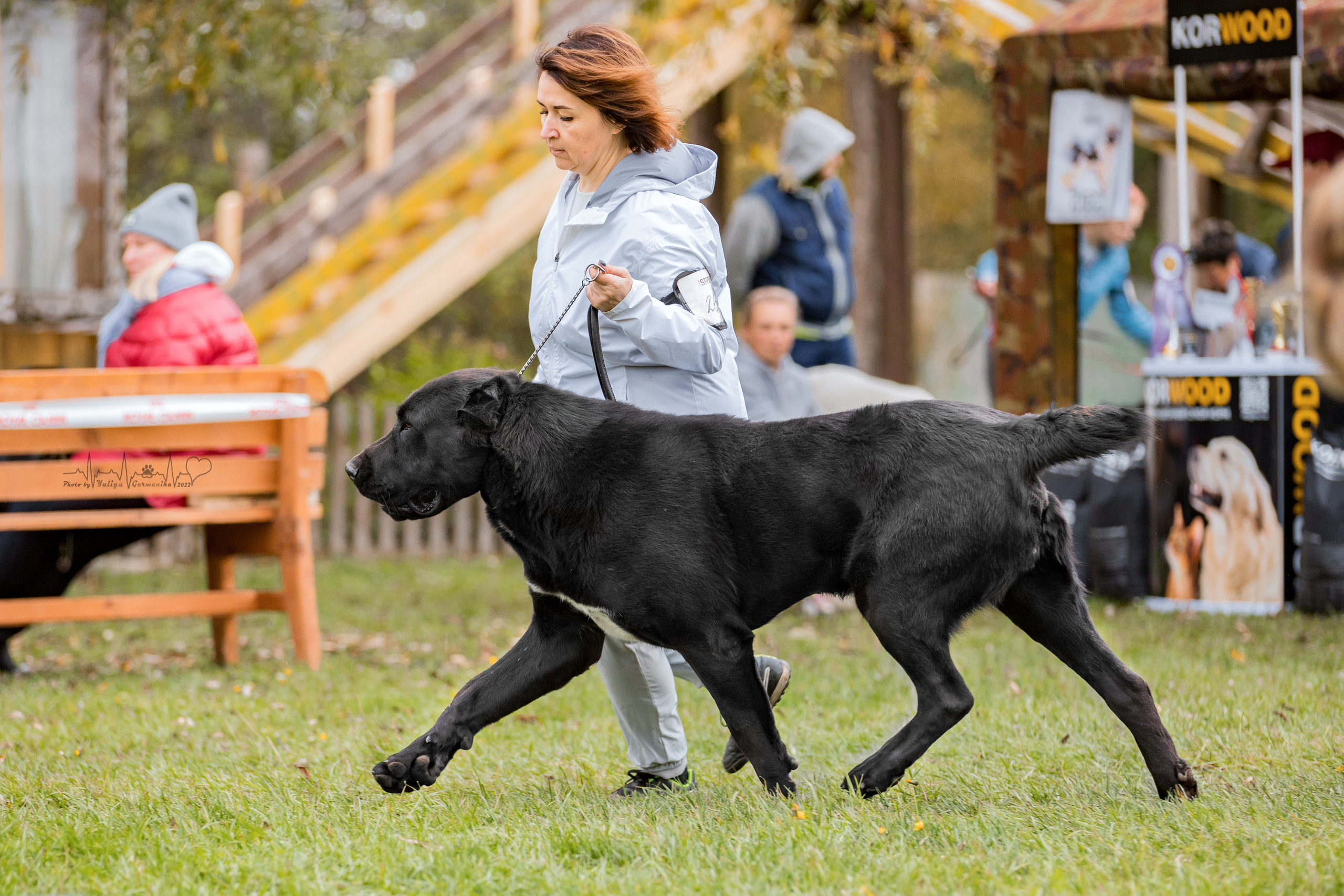 Александрова Слобода моно сао 2.10.2022. Фотограф-анималист Юлия Германика